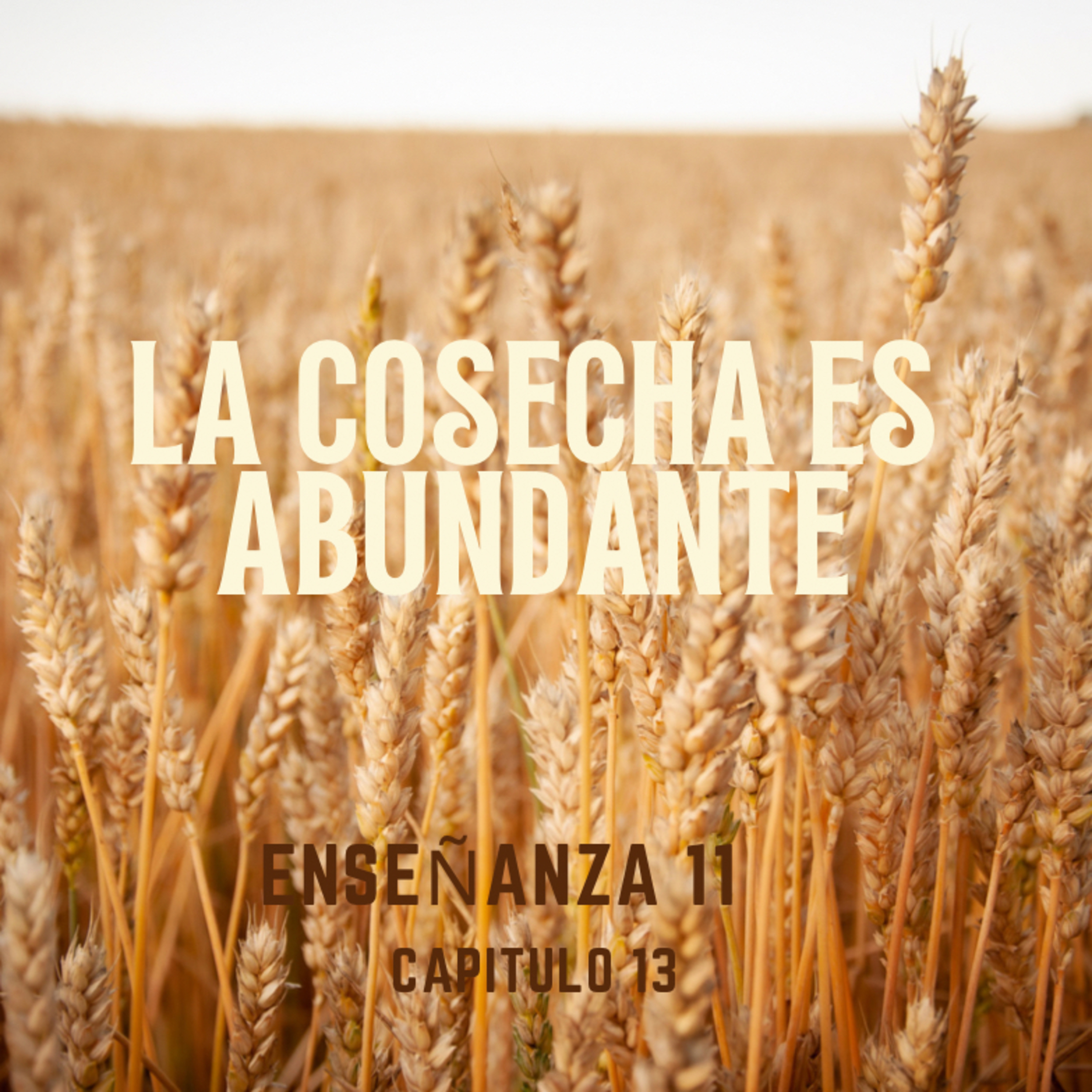 Enseñanza 11.La cosecha abundante. episode artwork