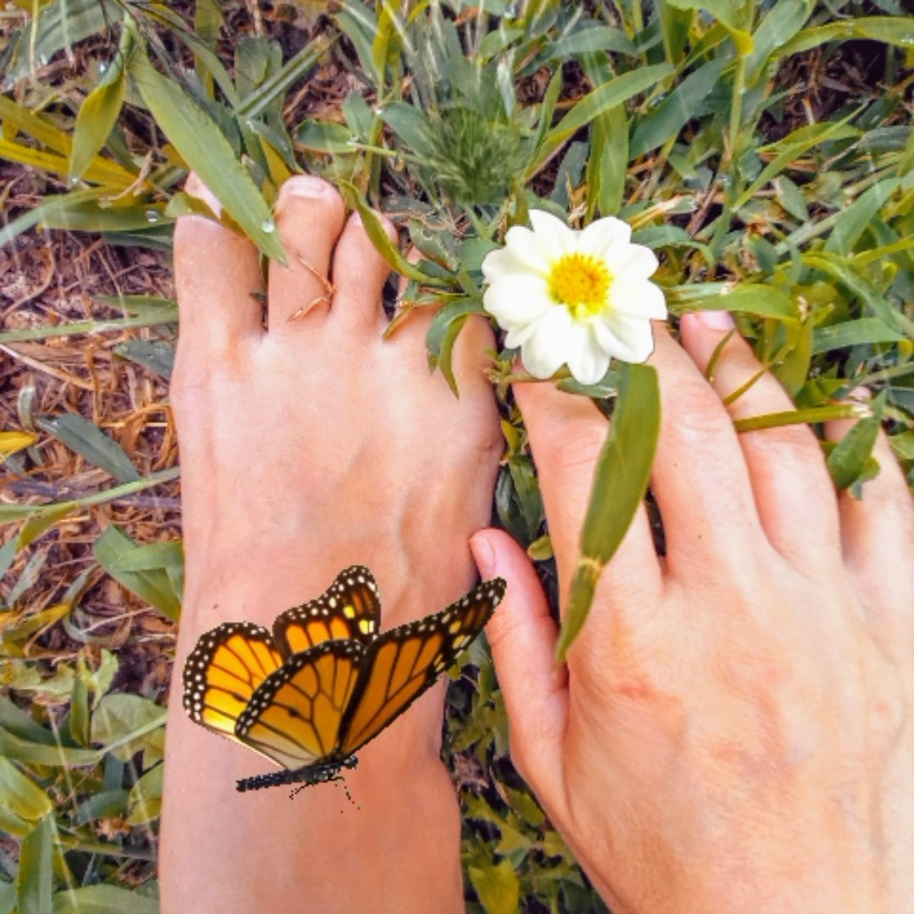 Astrologia, Couching, Espiritualidad, Desarrollo Personal