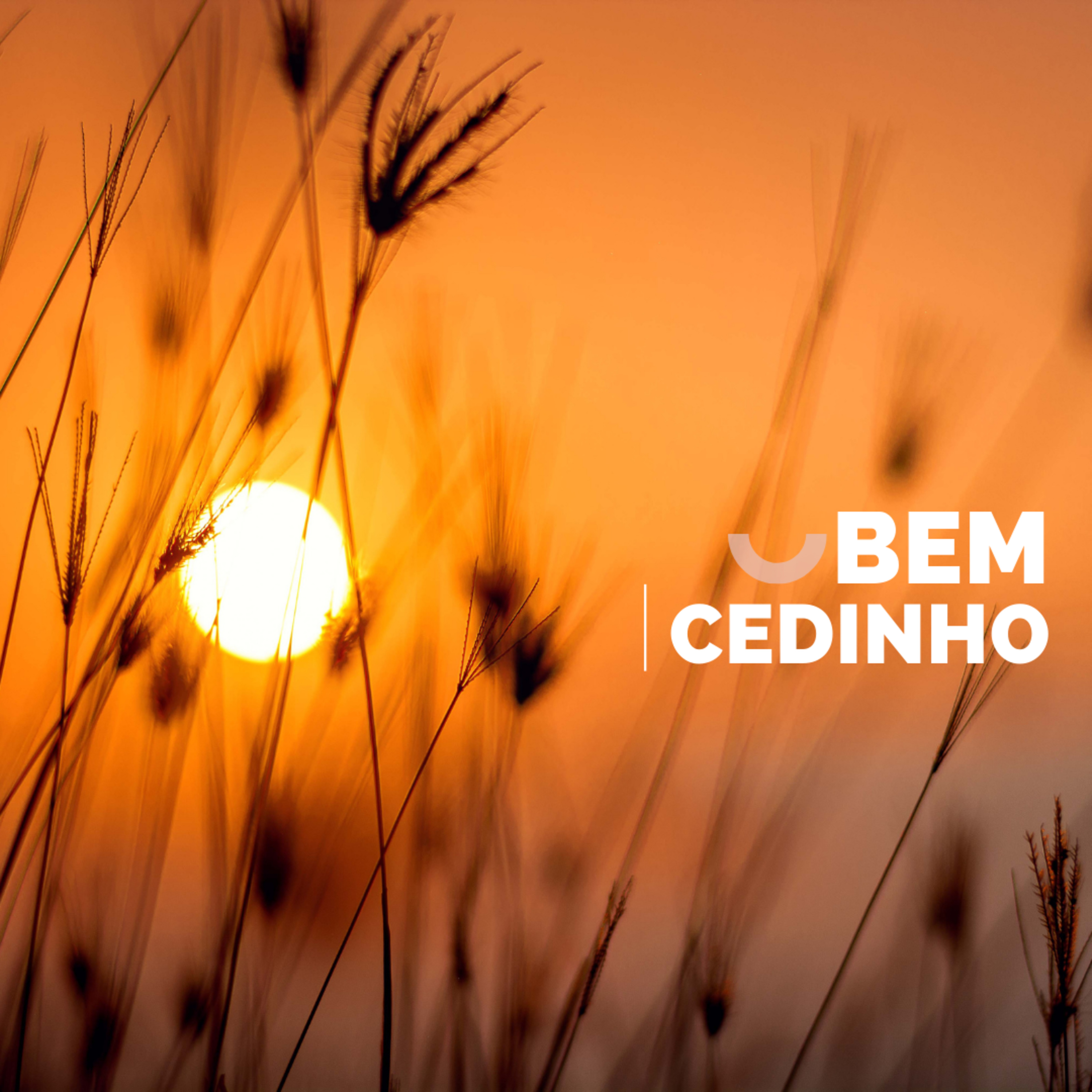 BEMCEDINHO