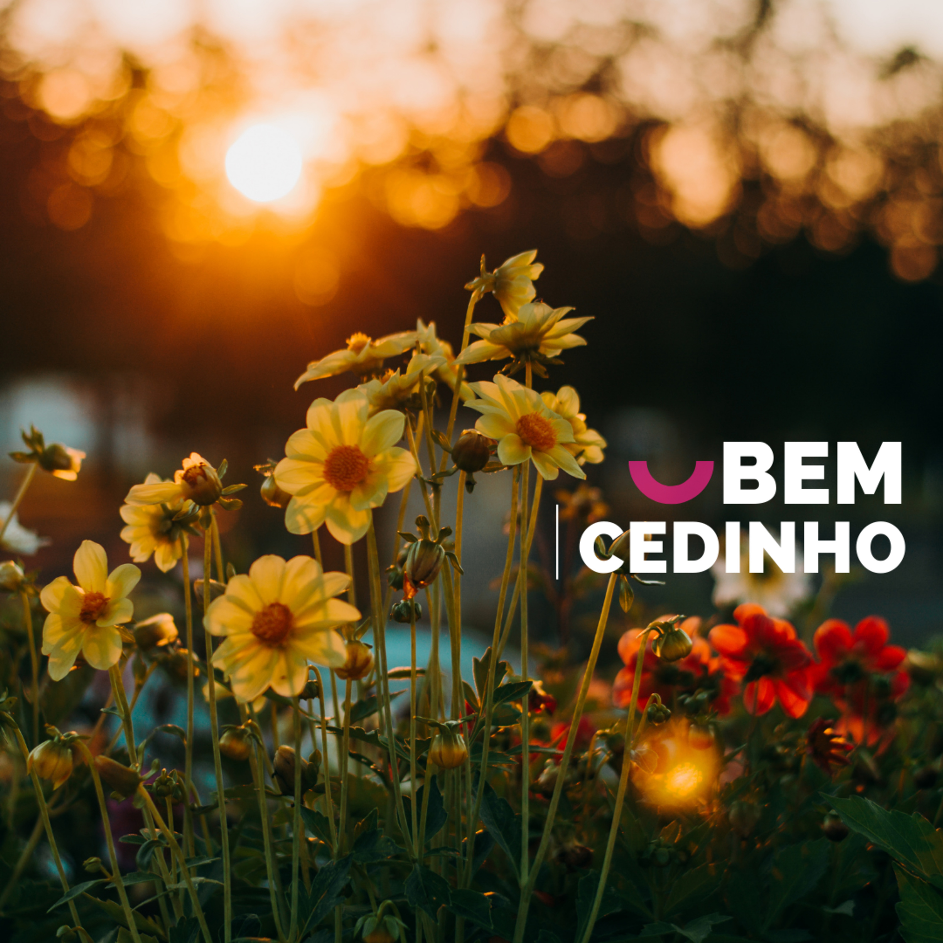 BEMCEDINHO