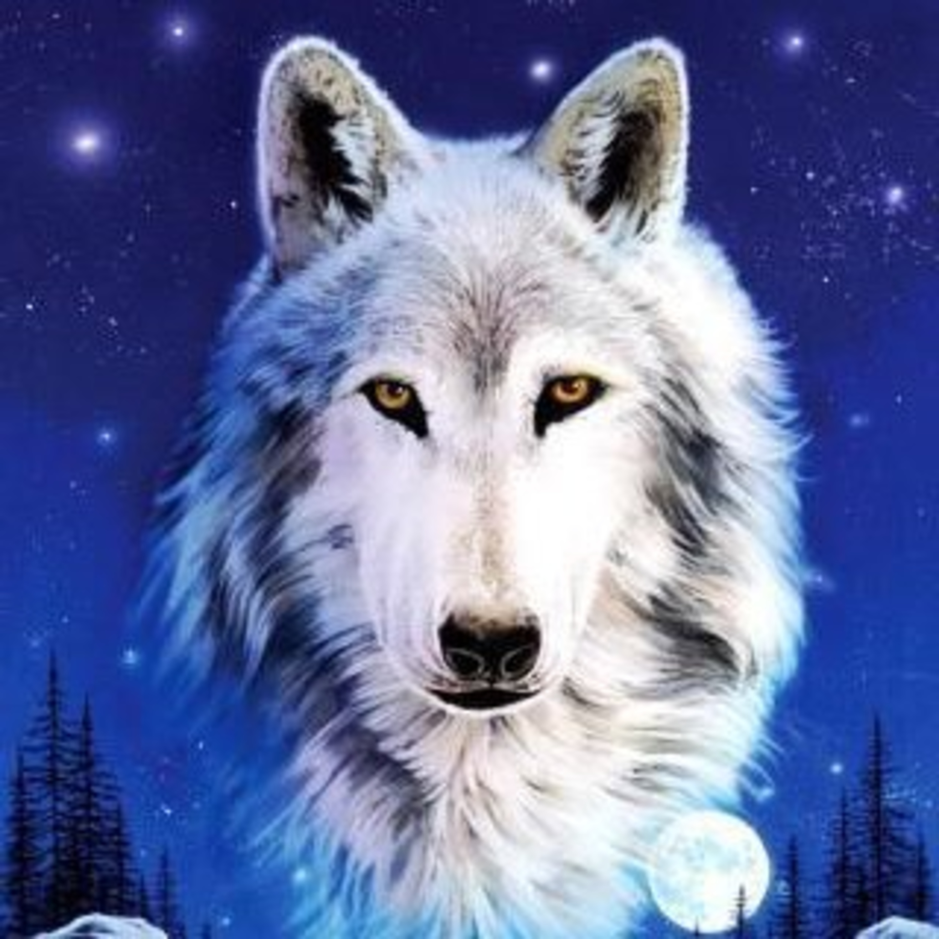 El lobo Jaku - Cuento de valores  episode artwork