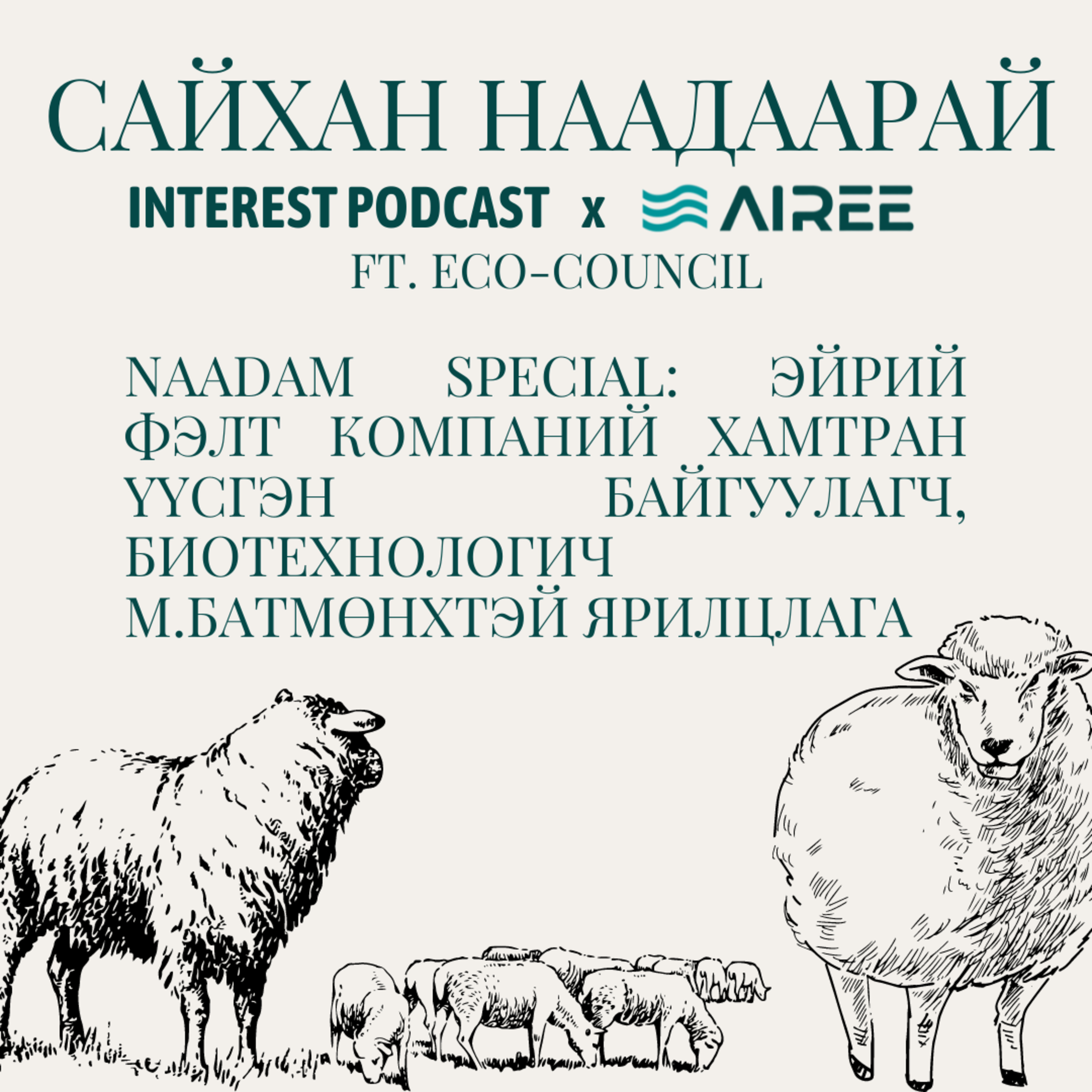 Хонины ноосоор хийсэн фильтр ээ?? 🐑 | Эйрий Фэлт компанийн Батмөнх
