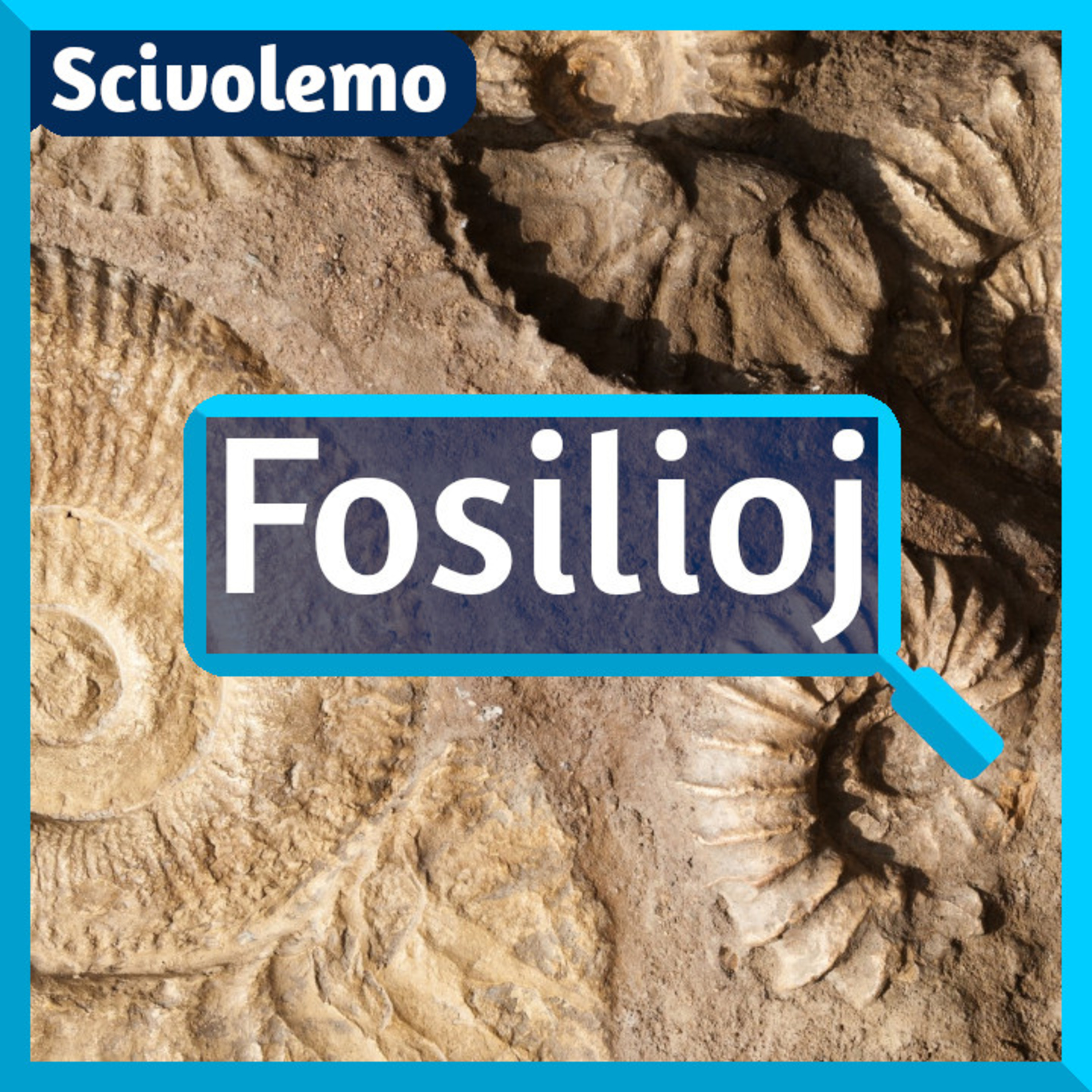Videoj de Scivolemo