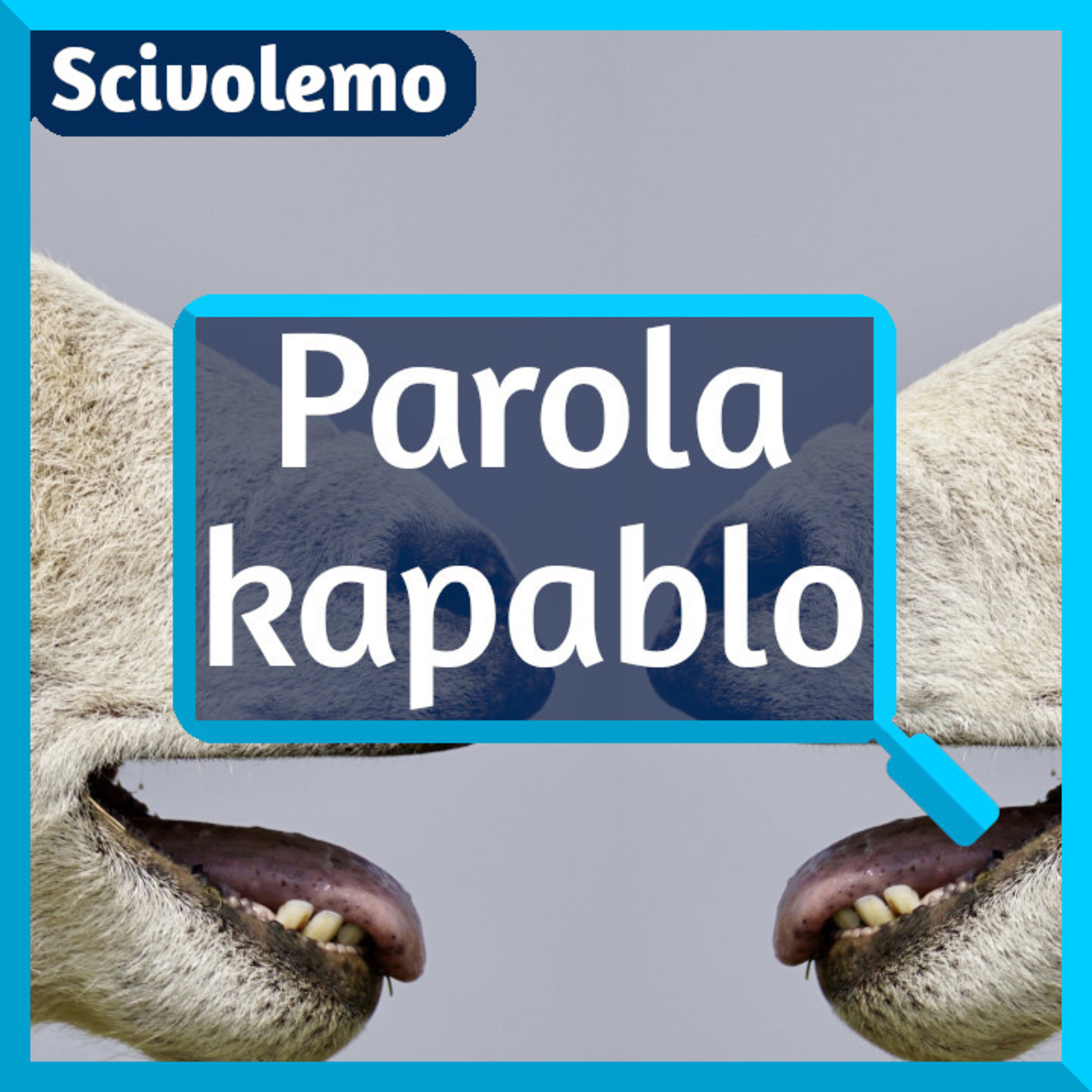 Videoj de Scivolemo