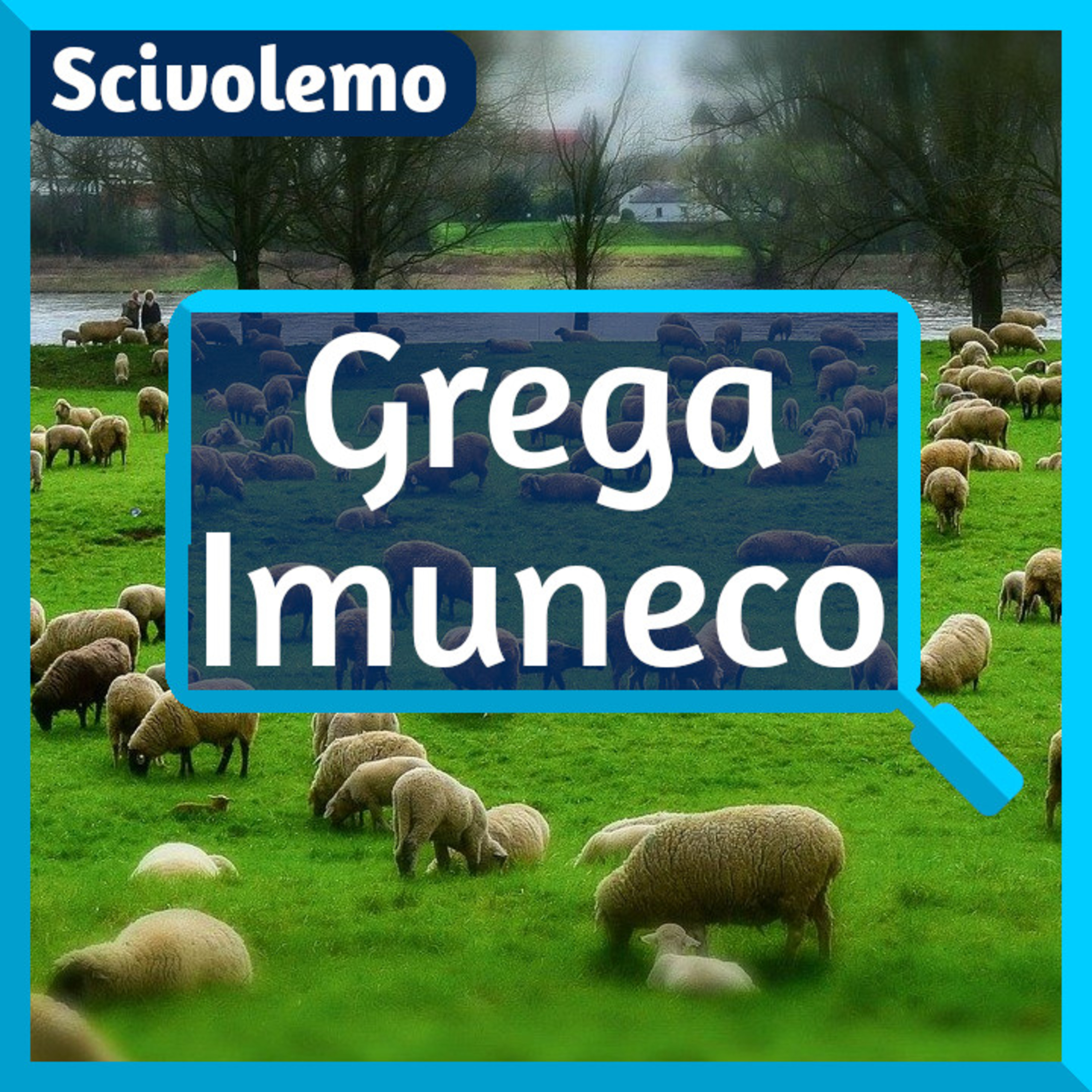 Videoj de Scivolemo