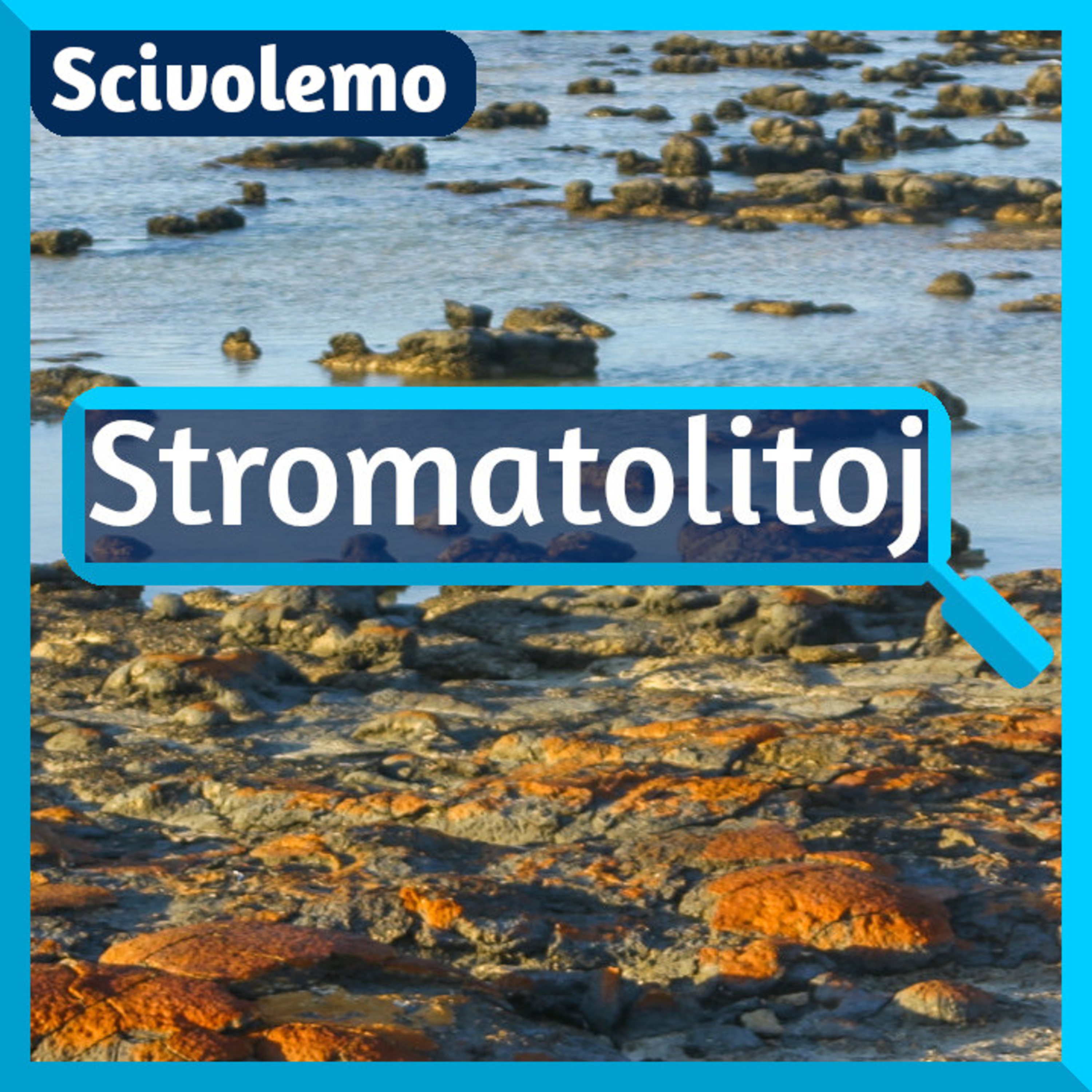 Videoj de Scivolemo