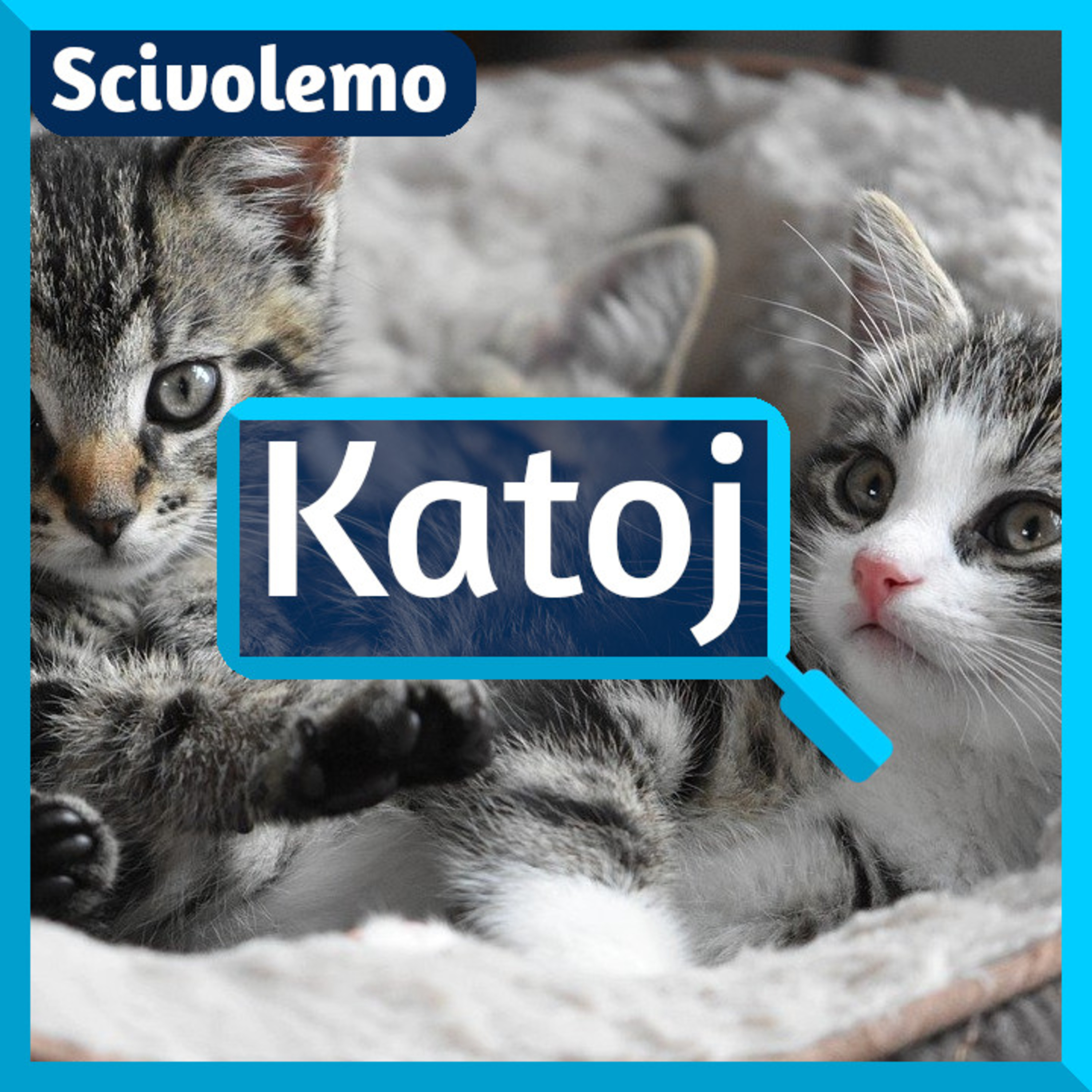 Videoj de Scivolemo