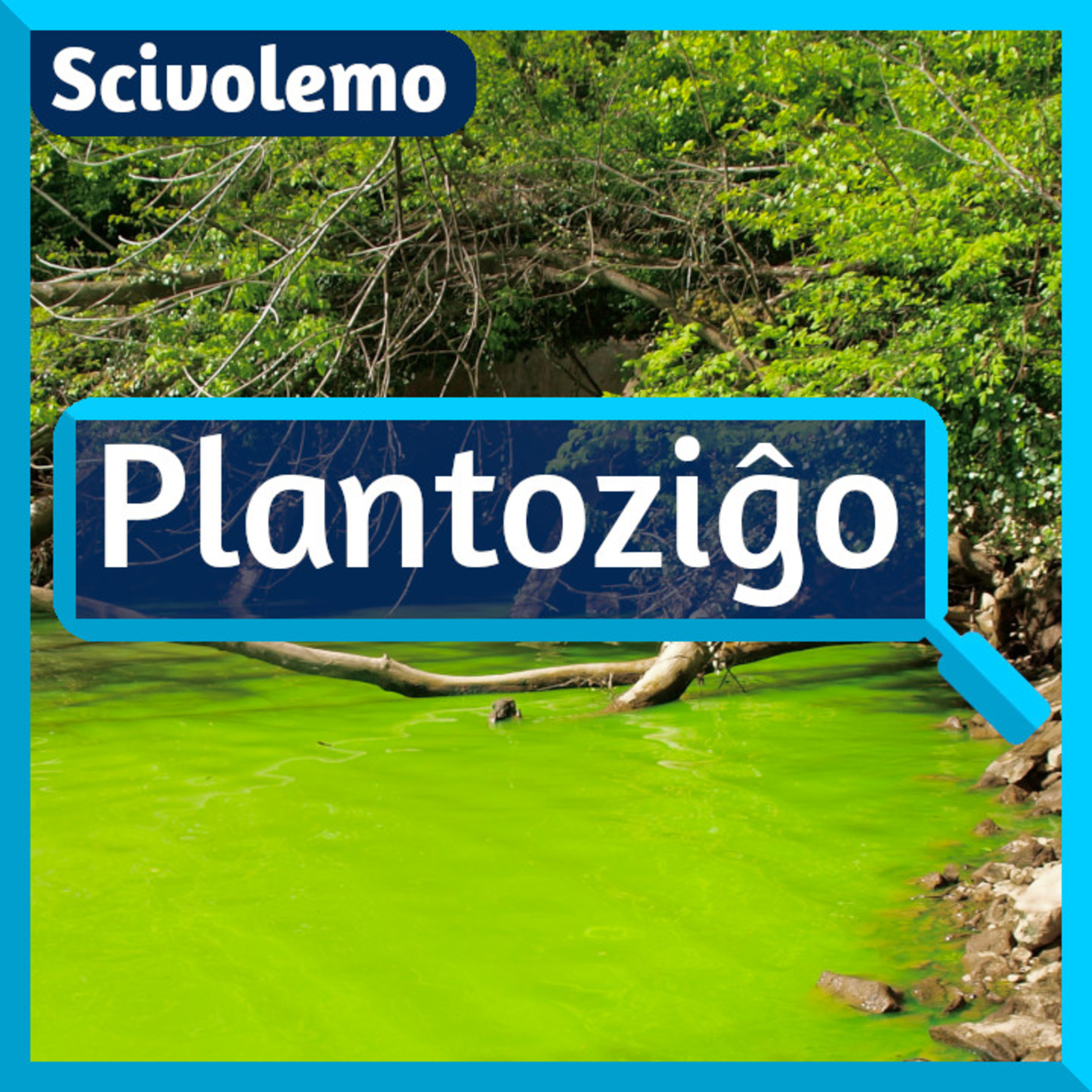 Videoj de Scivolemo
