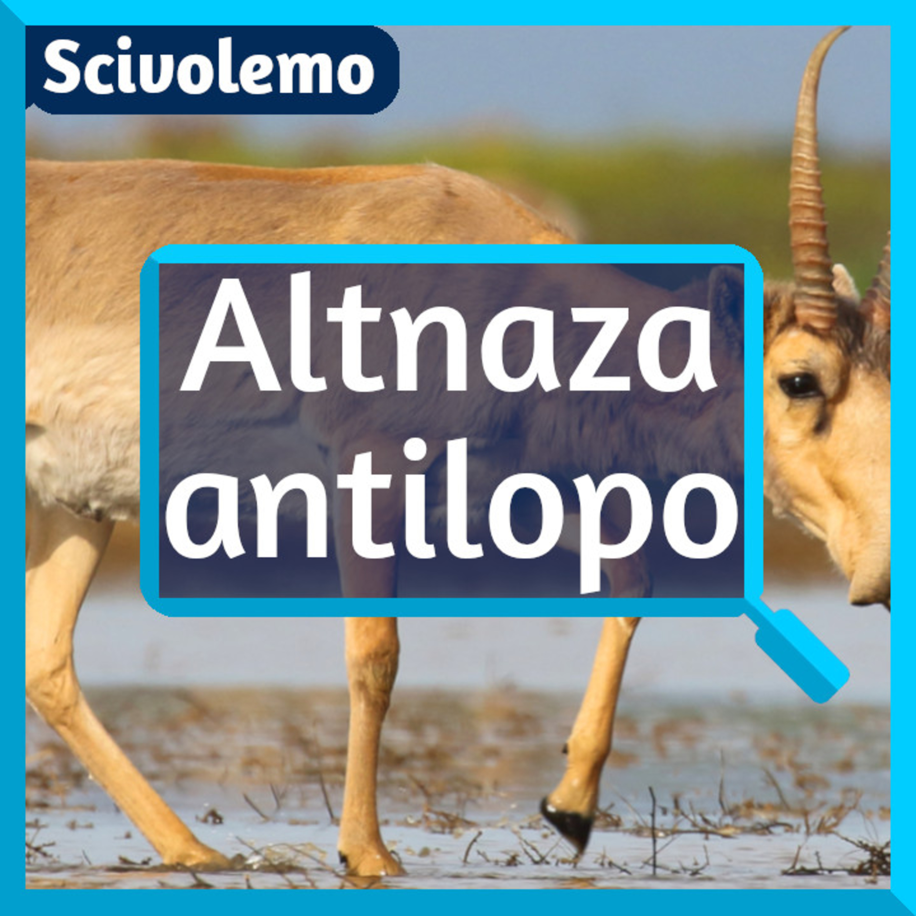 Videoj de Scivolemo