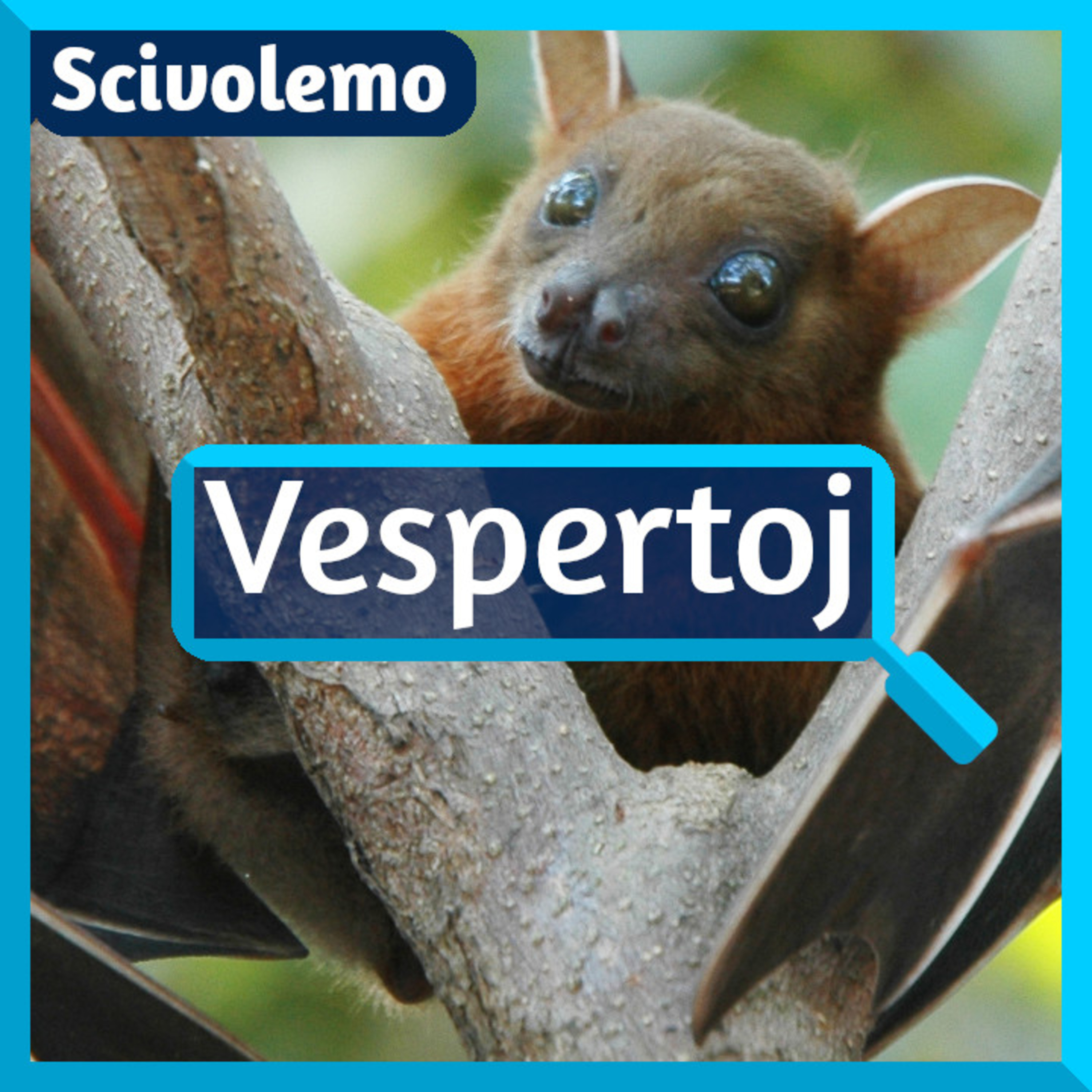 Videoj de Scivolemo