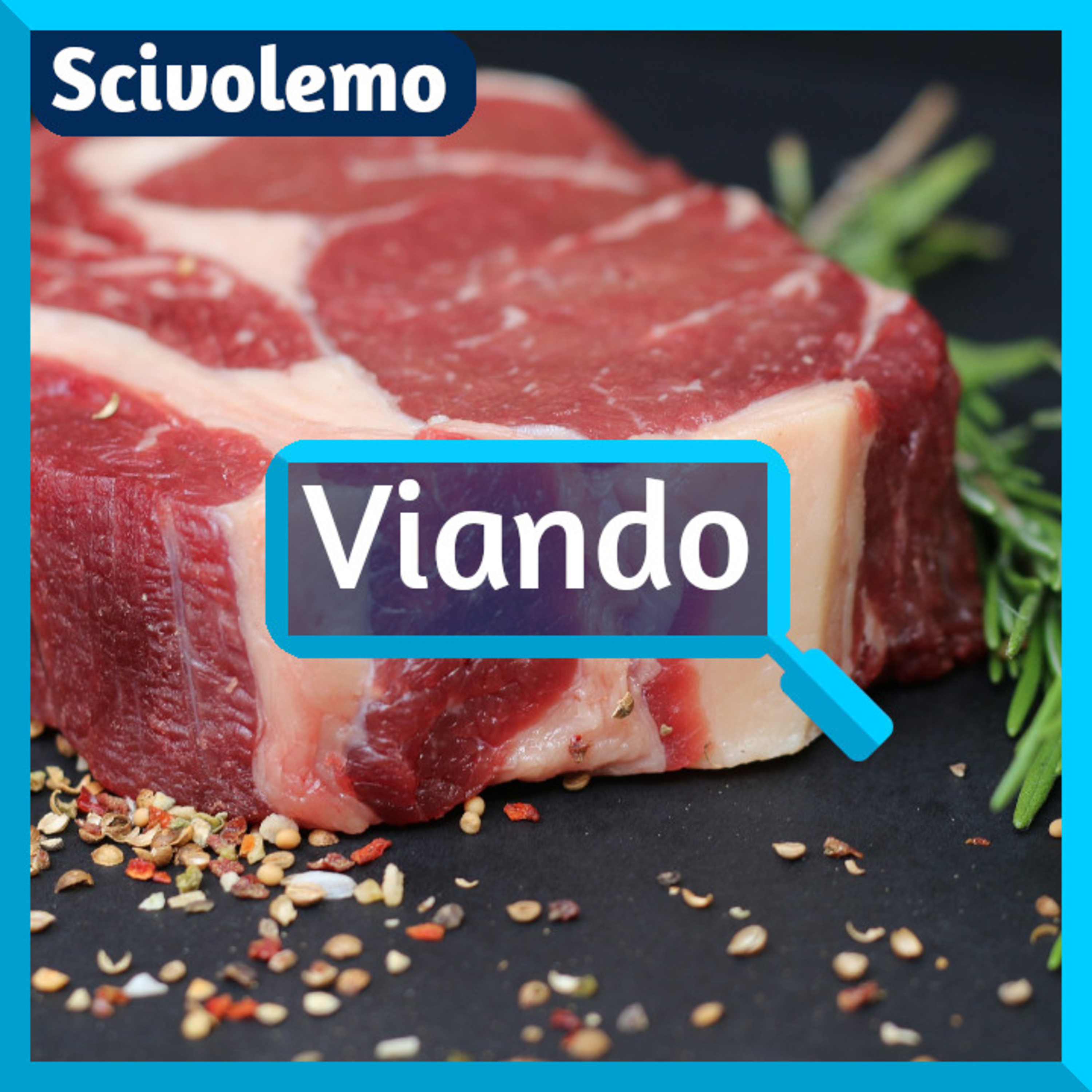 Videoj de Scivolemo