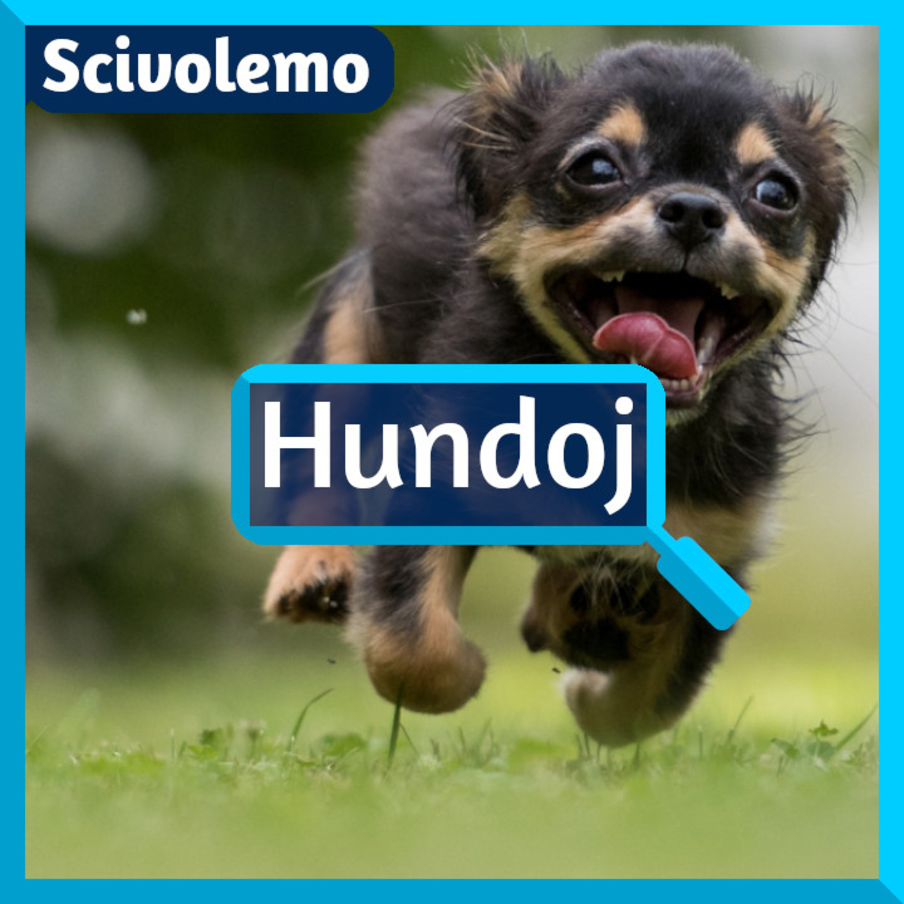 Videoj de Scivolemo