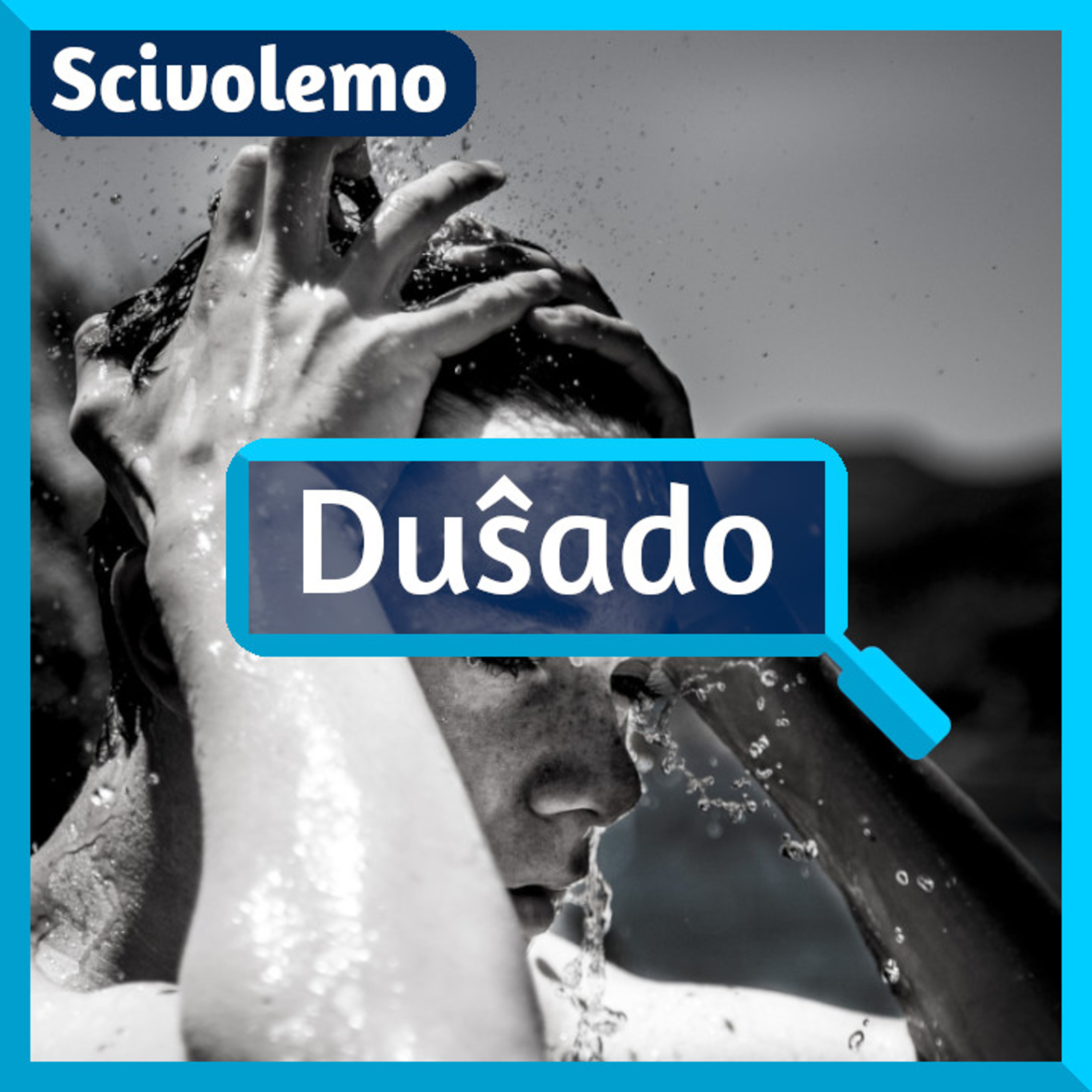 Videoj de Scivolemo