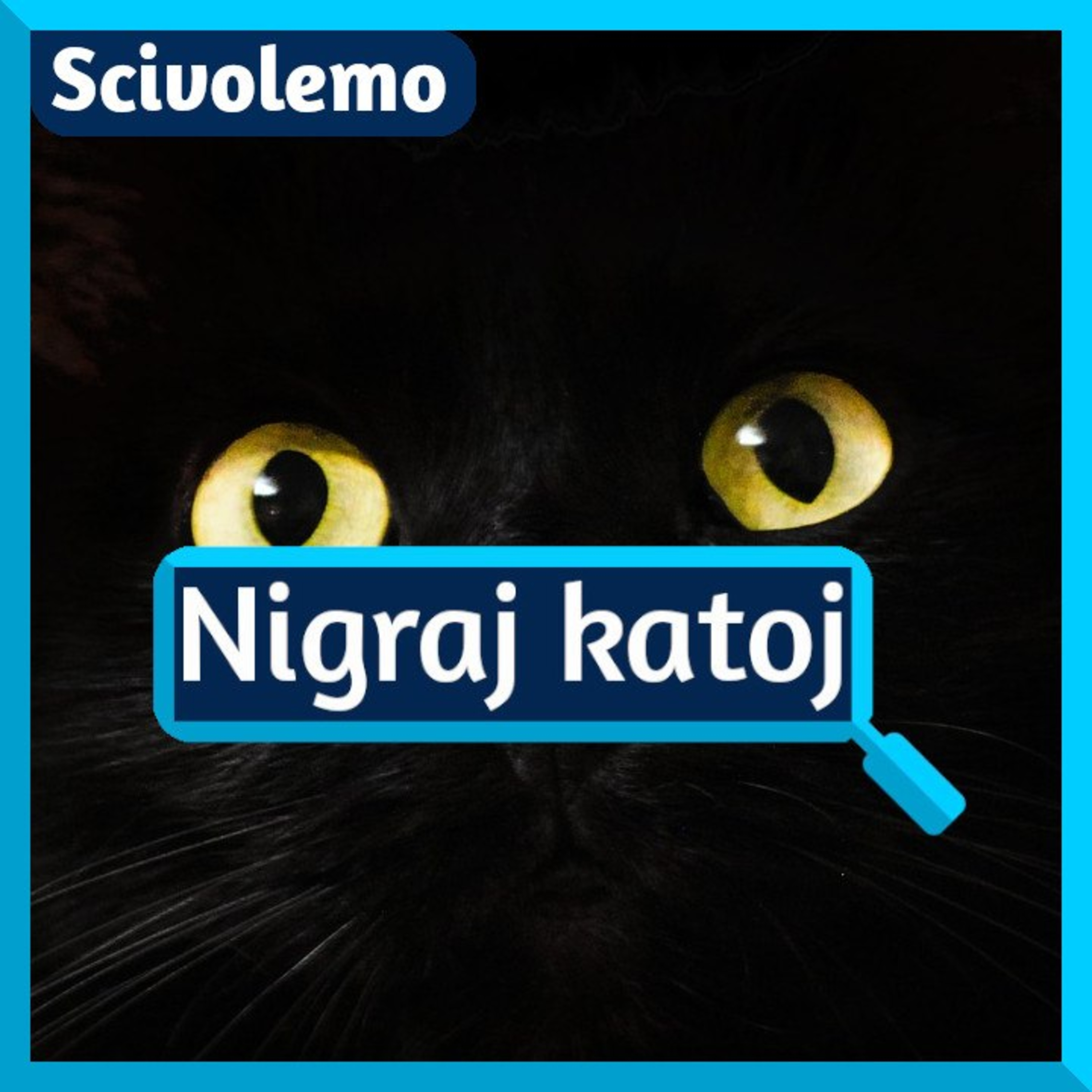 Videoj de Scivolemo