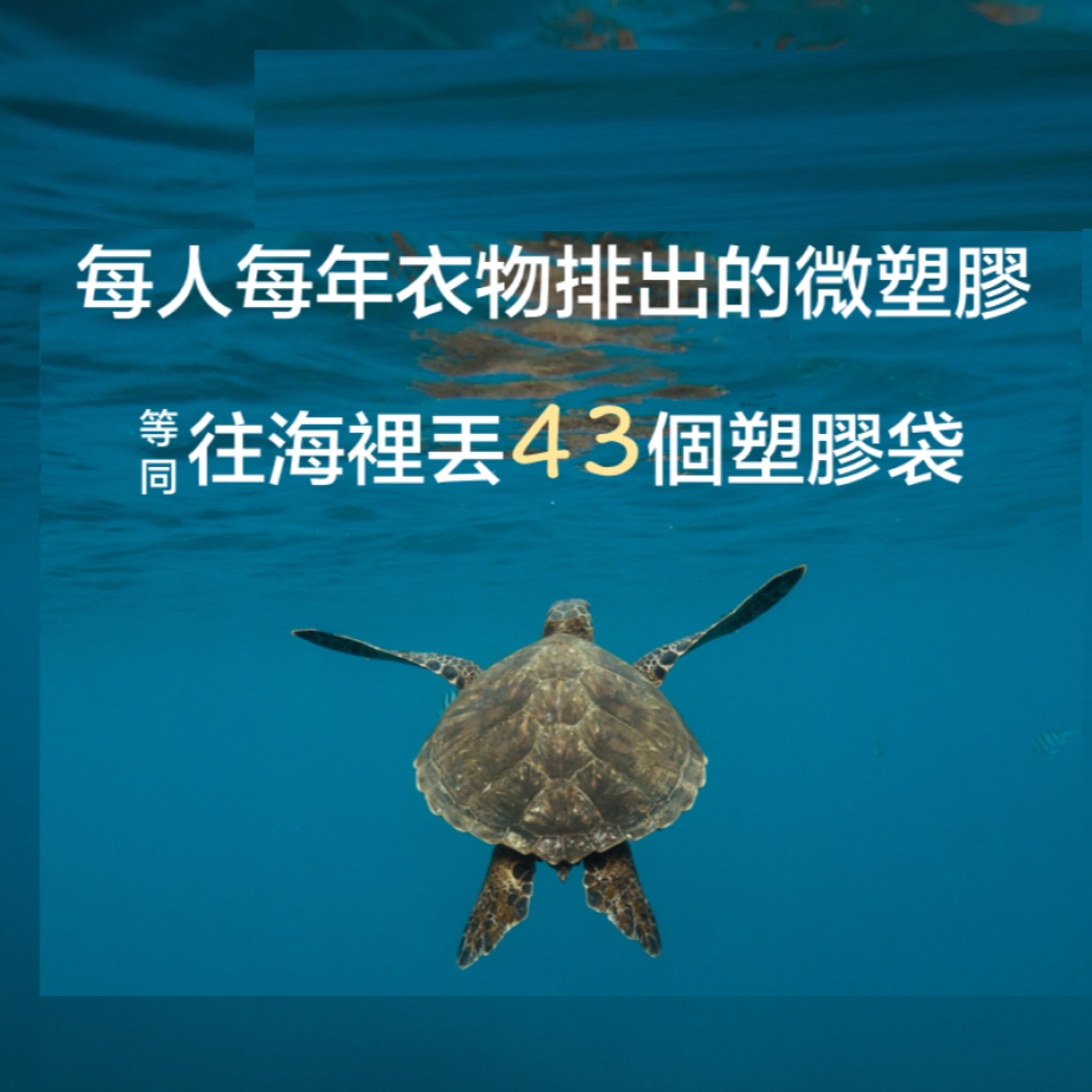 深思熟綠