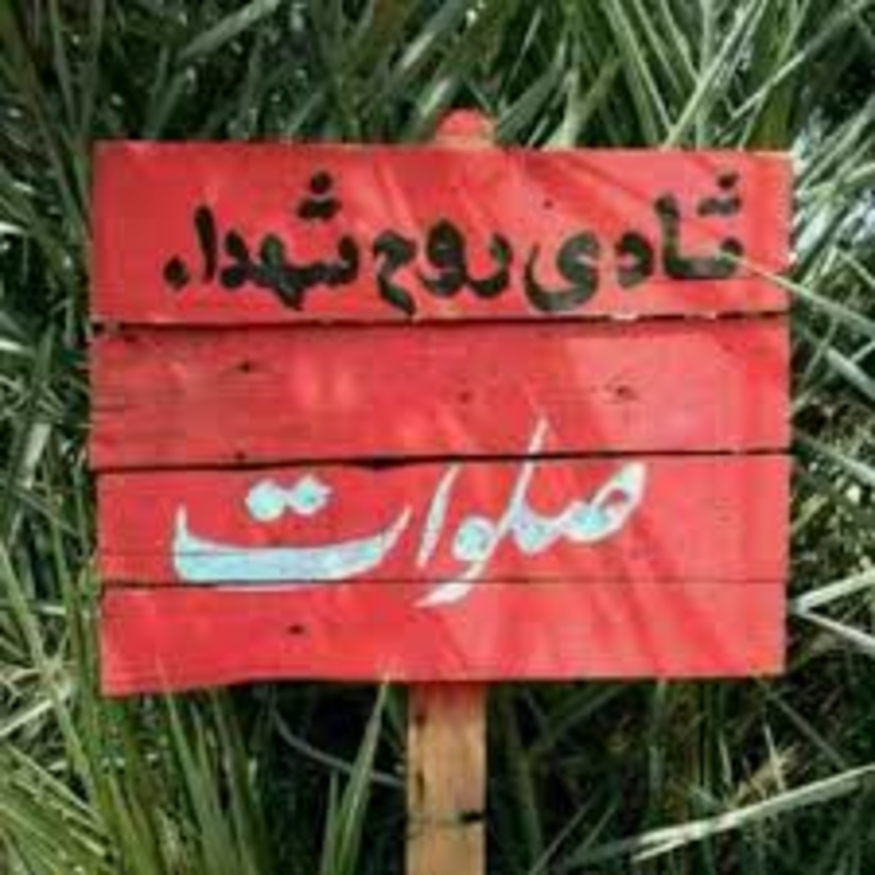 کاور راز۱
