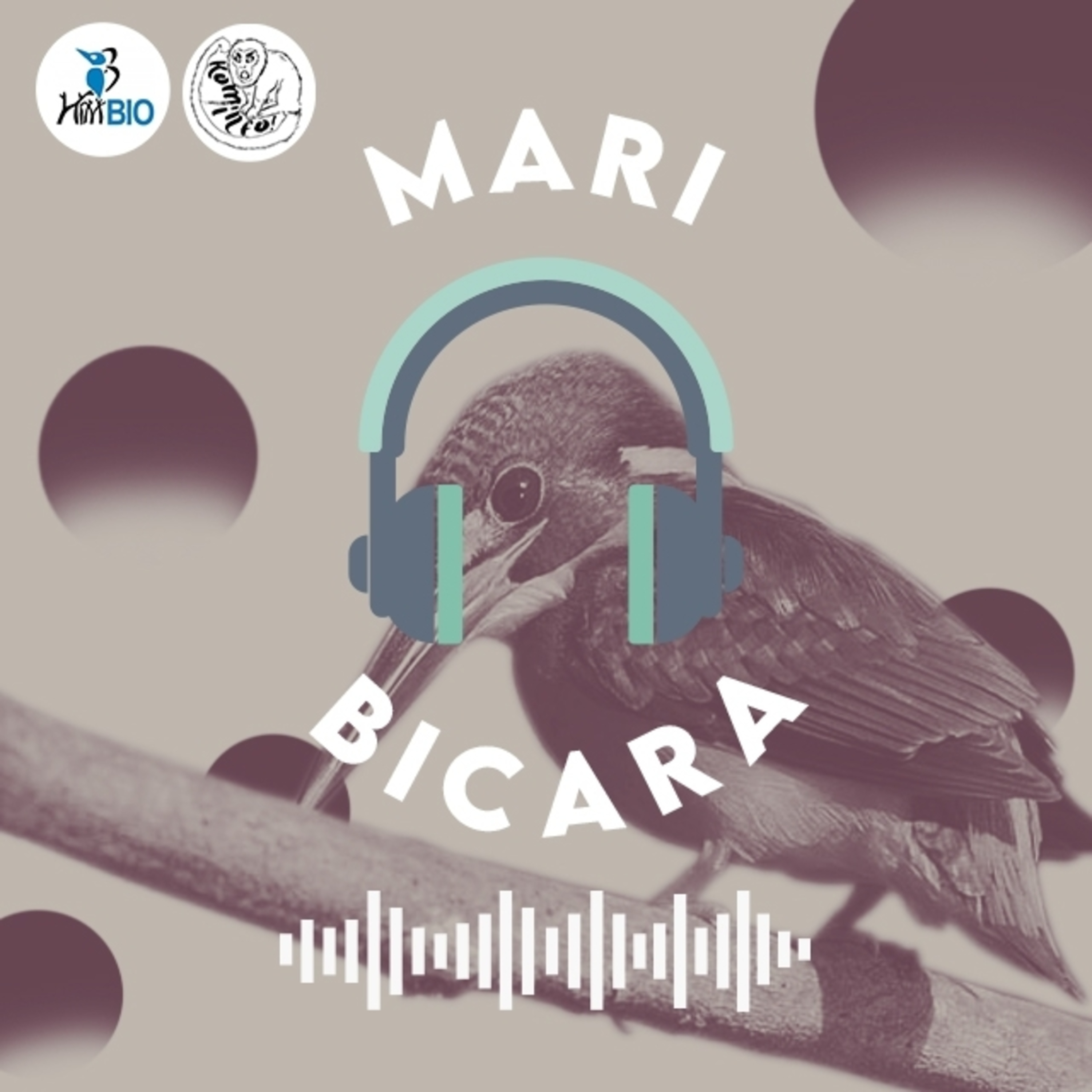 Mari Bicara