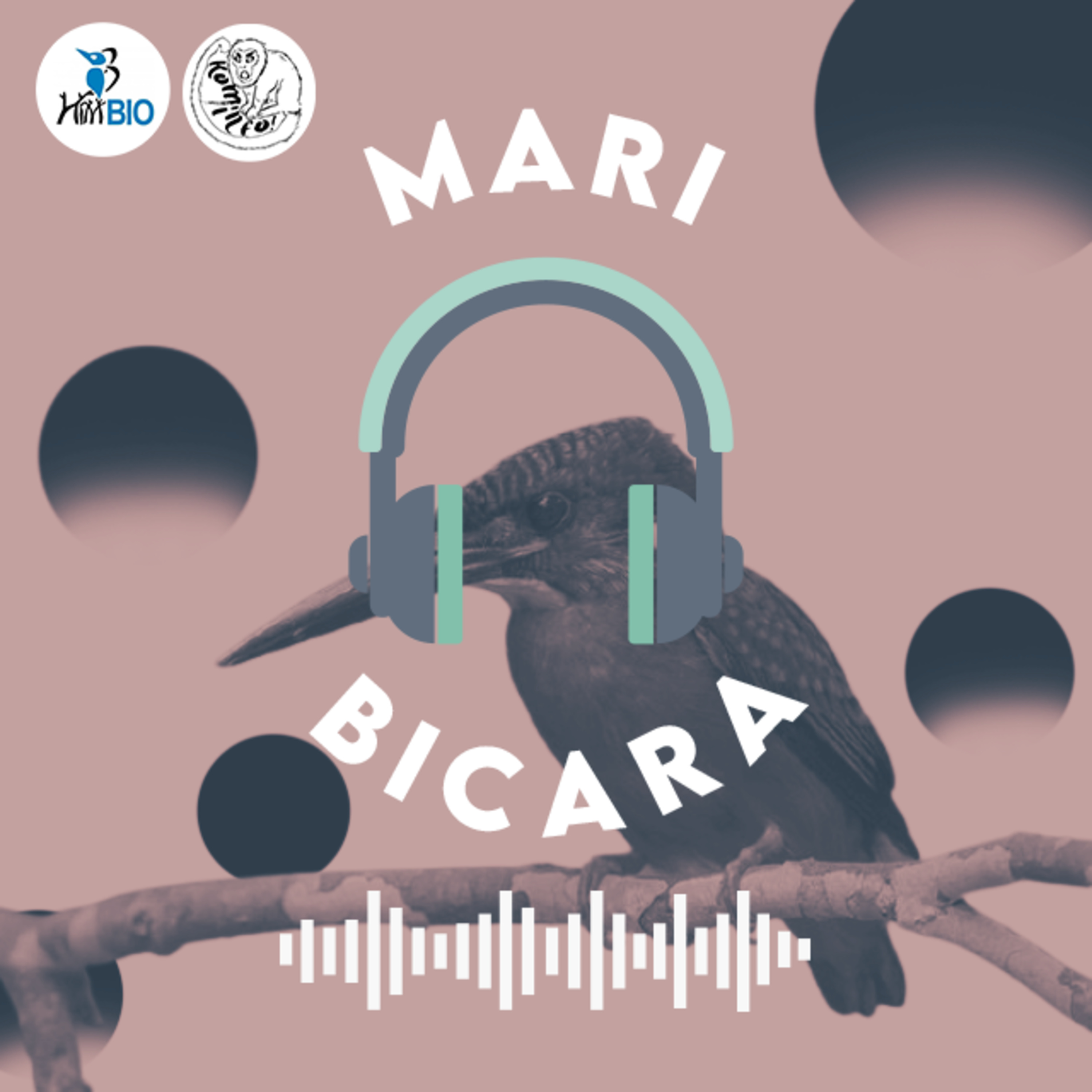 Mari Bicara