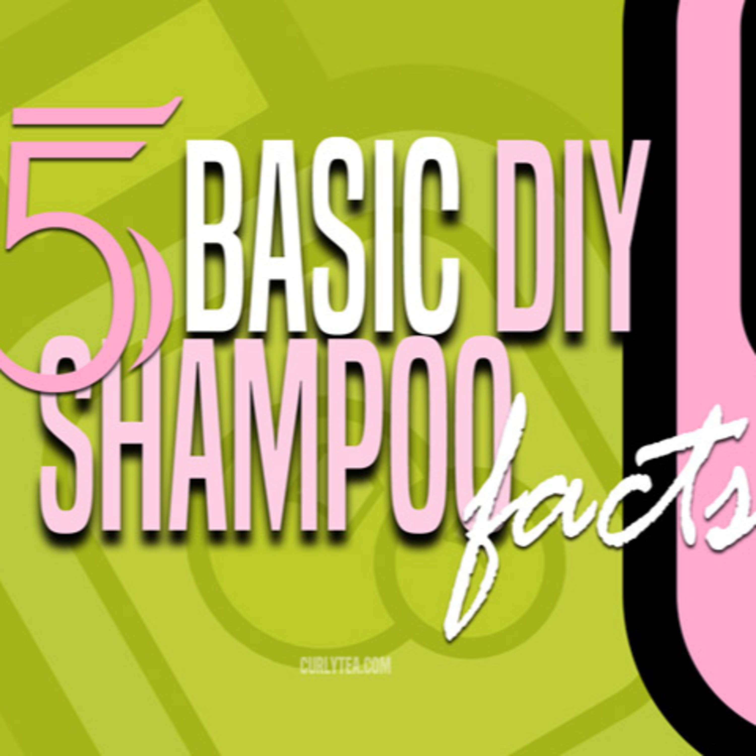 5 Basic DIY Shampoo Facts
