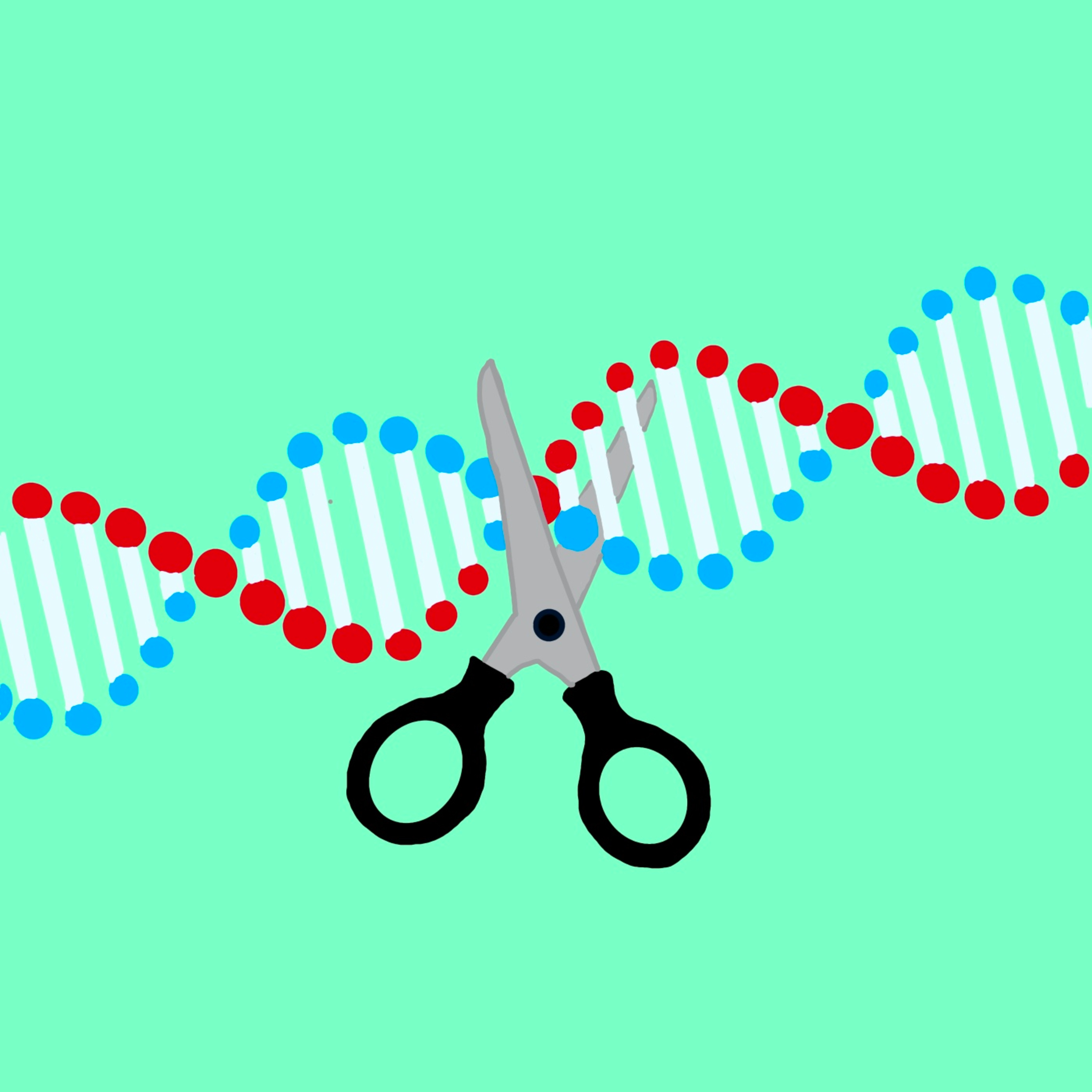 BioTime