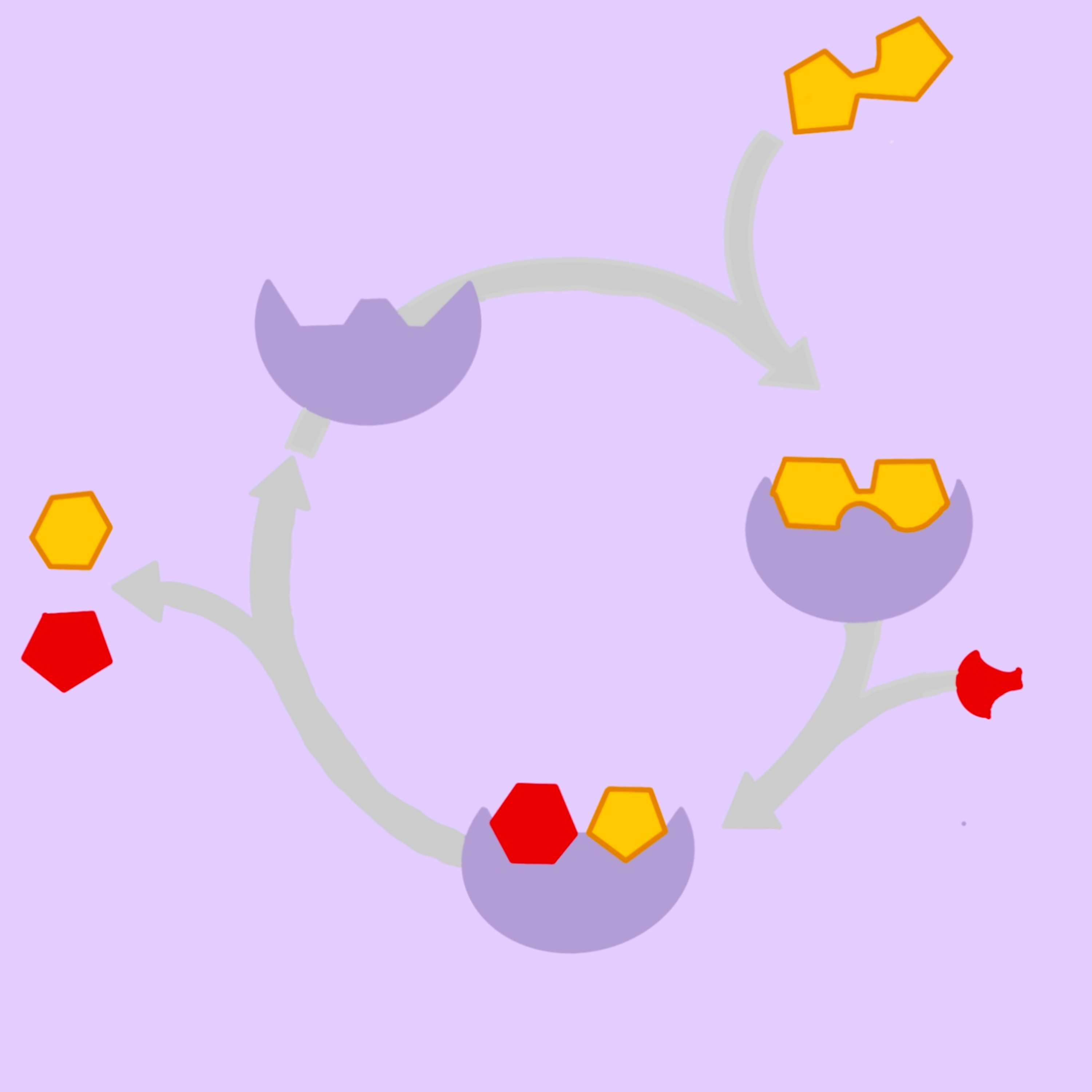 BioTime