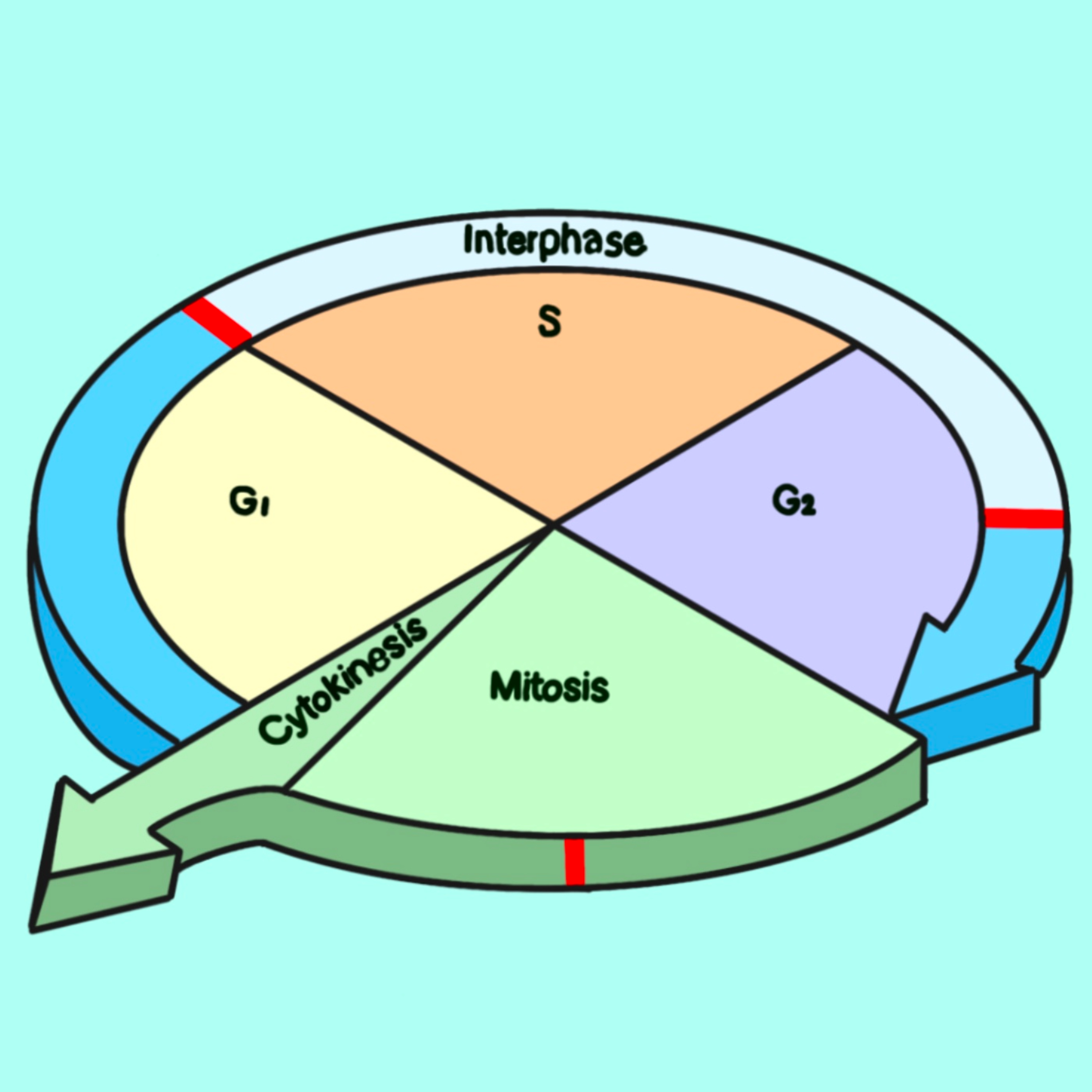 BioTime
