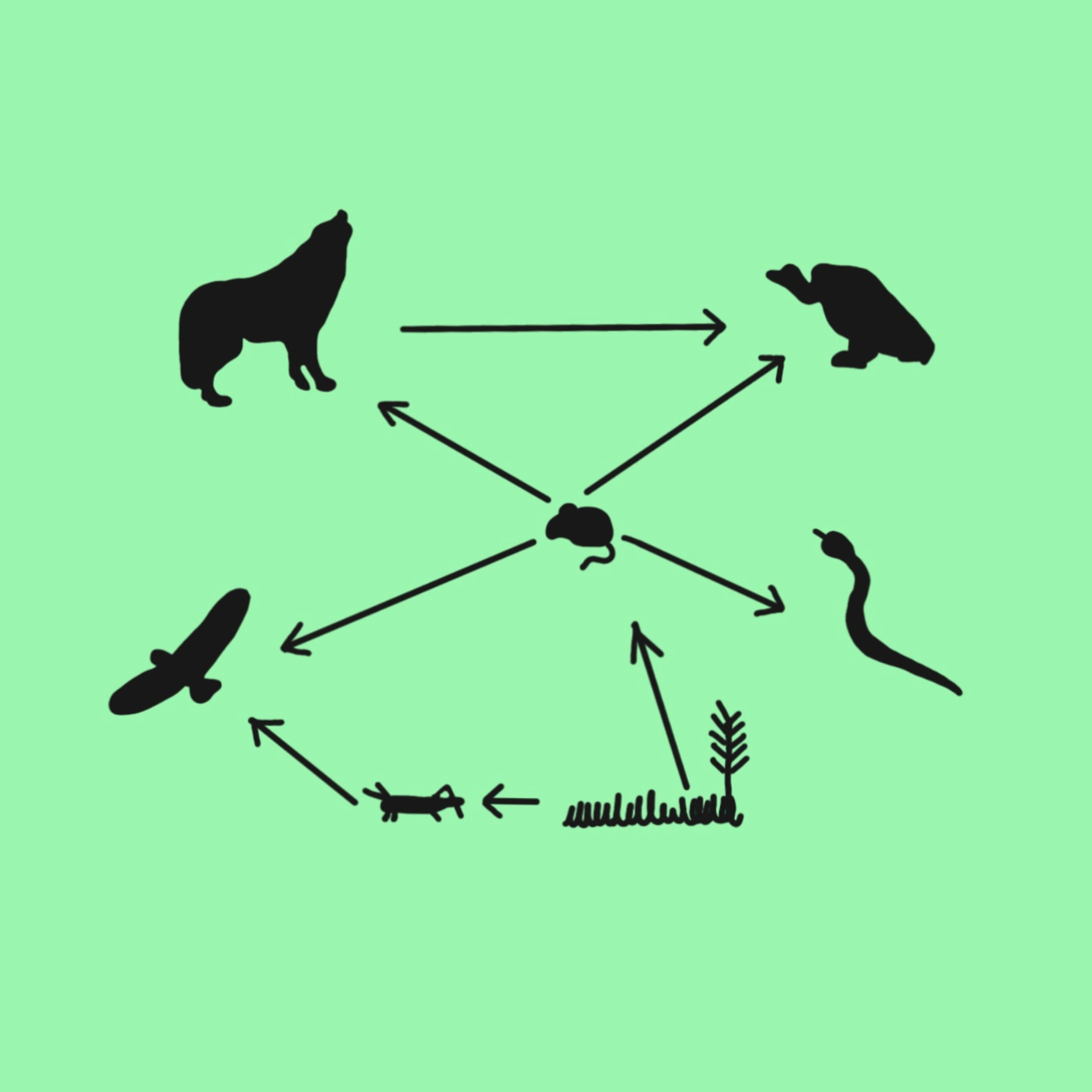BioTime