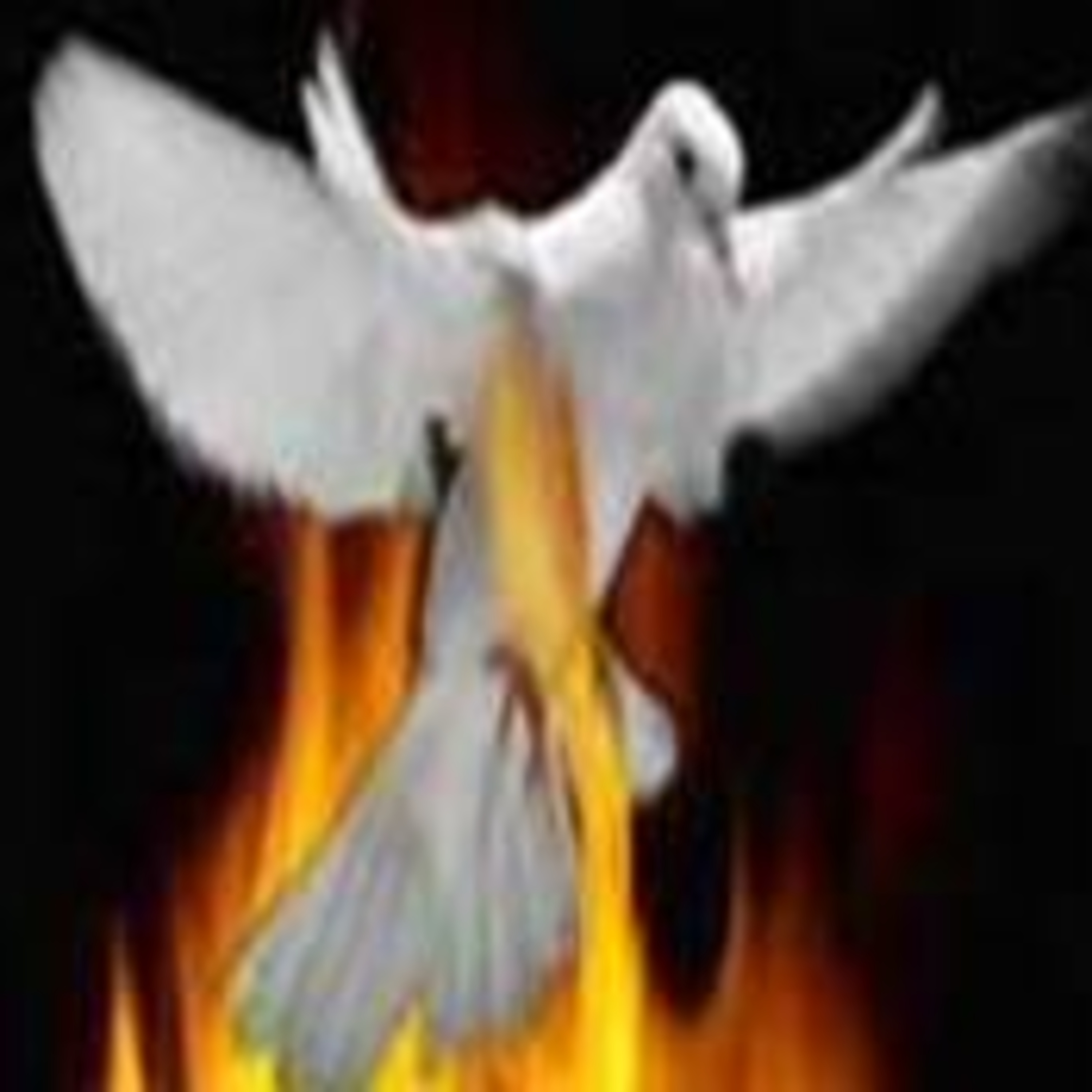 The Word of God