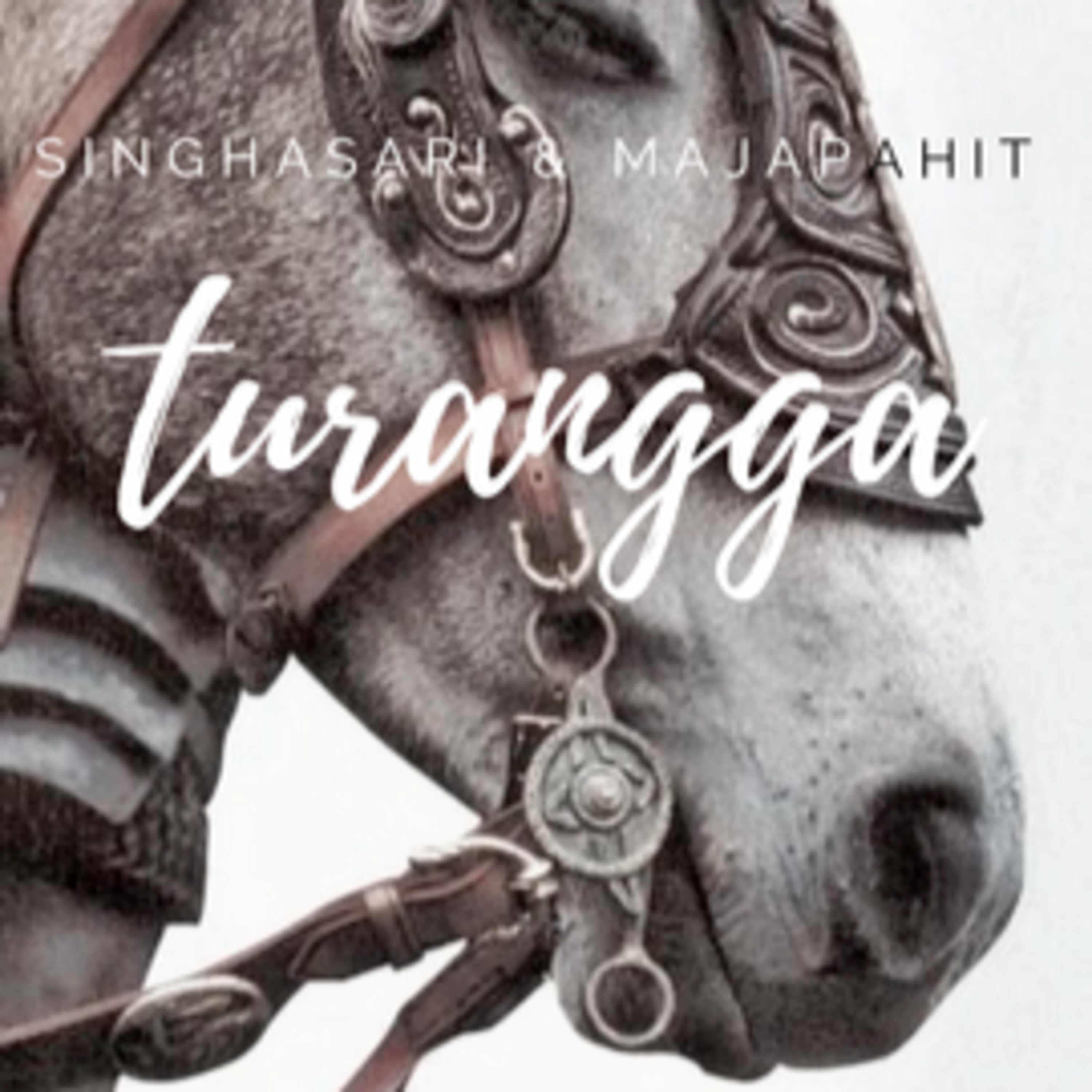 Turangga episode artwork