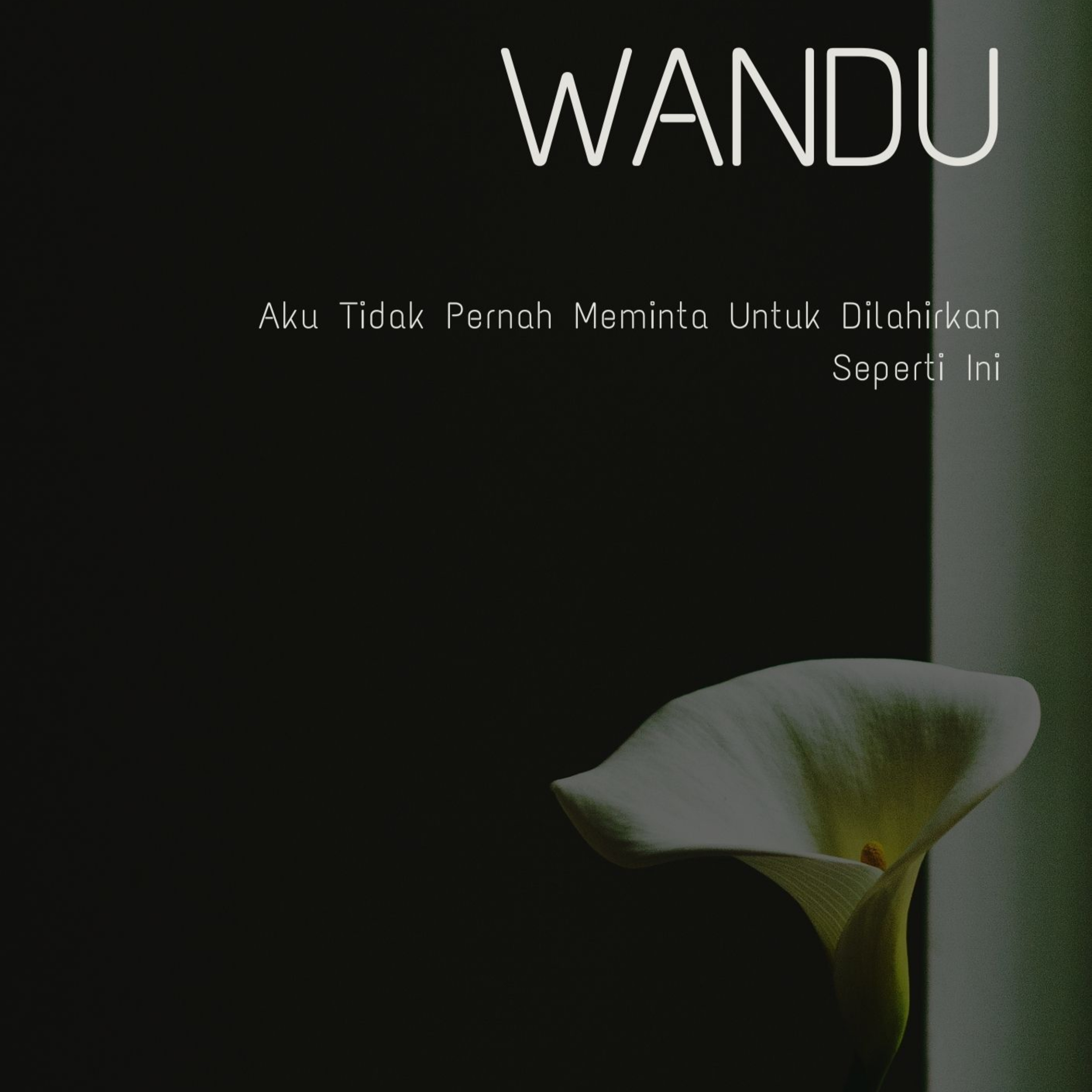Wandu episode artwork