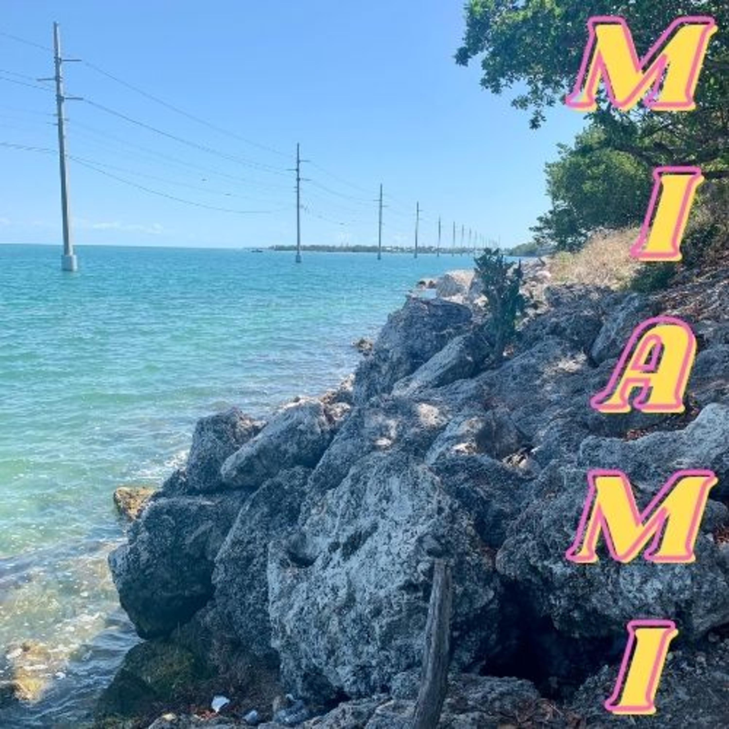 MY PODCAST LIFE