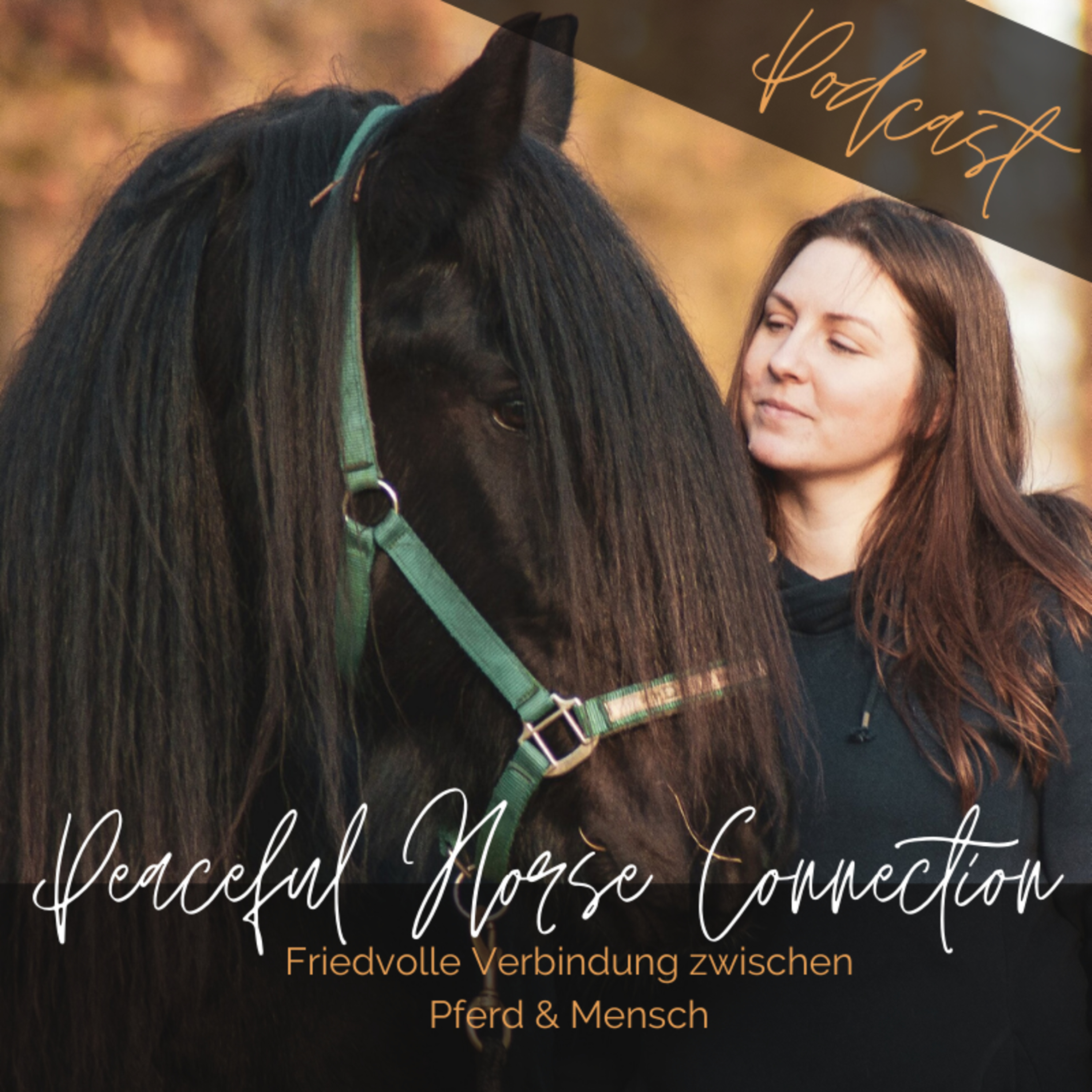 VOICE OF THE EMPOWERED HORSE | a new way of living with horses
