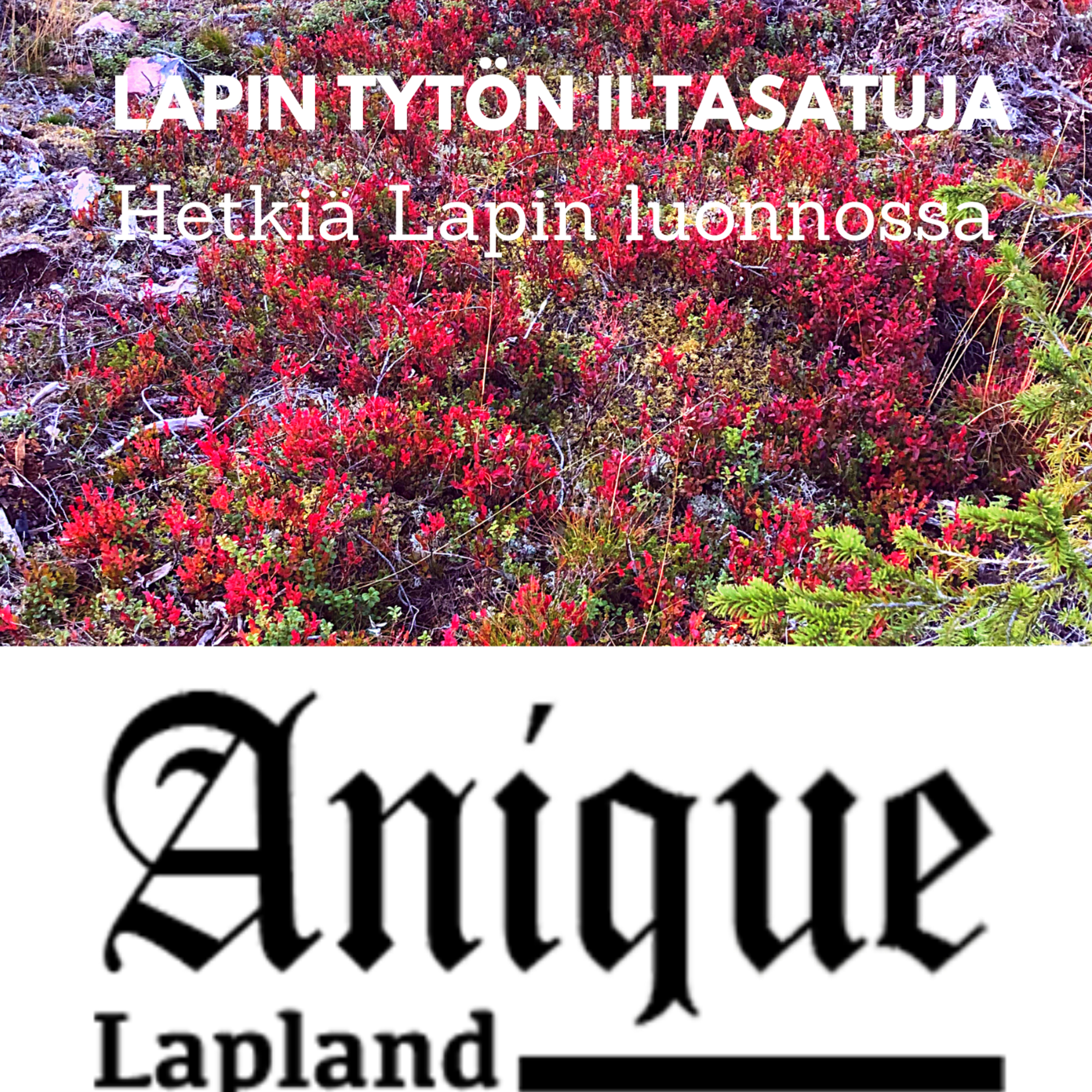 Lapin tytön iltasatuja - Lapin luonnon innoittamana juuret syvästi Lapinmaassa / Anique Lapland