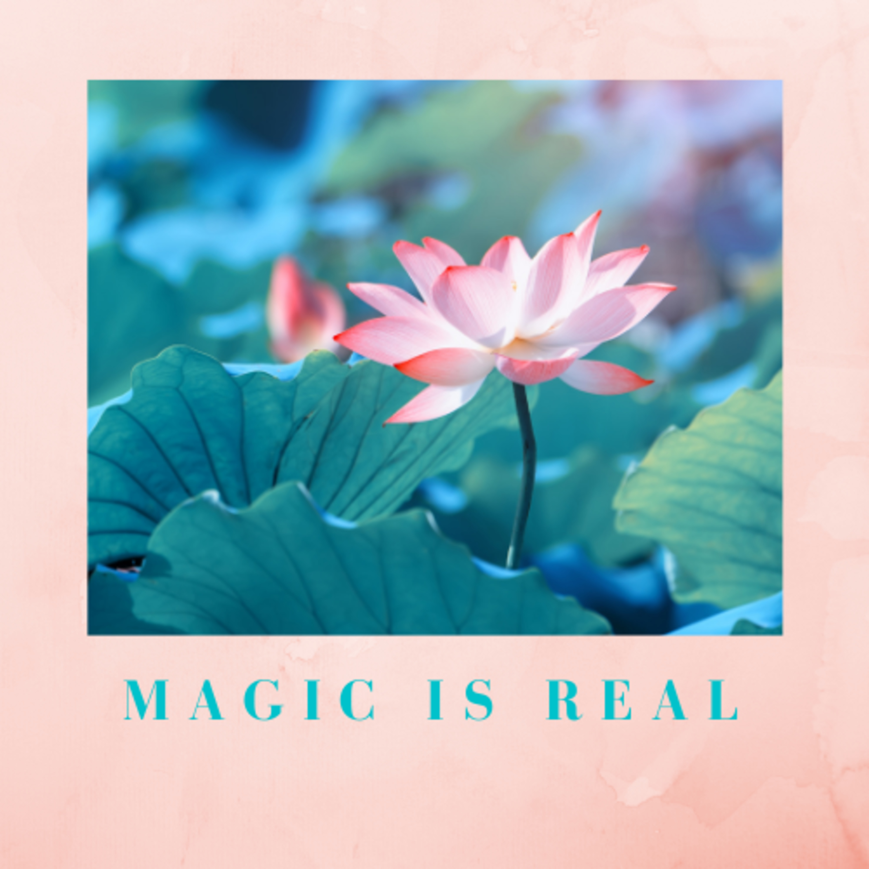 MAGIC IS REAL