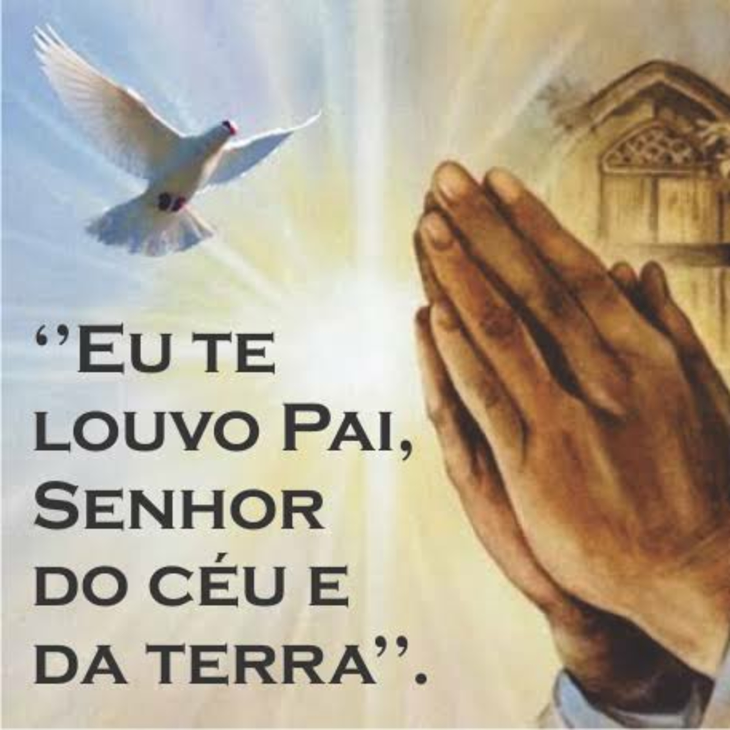 Evangelho do dia 01/12/2020 episode artwork