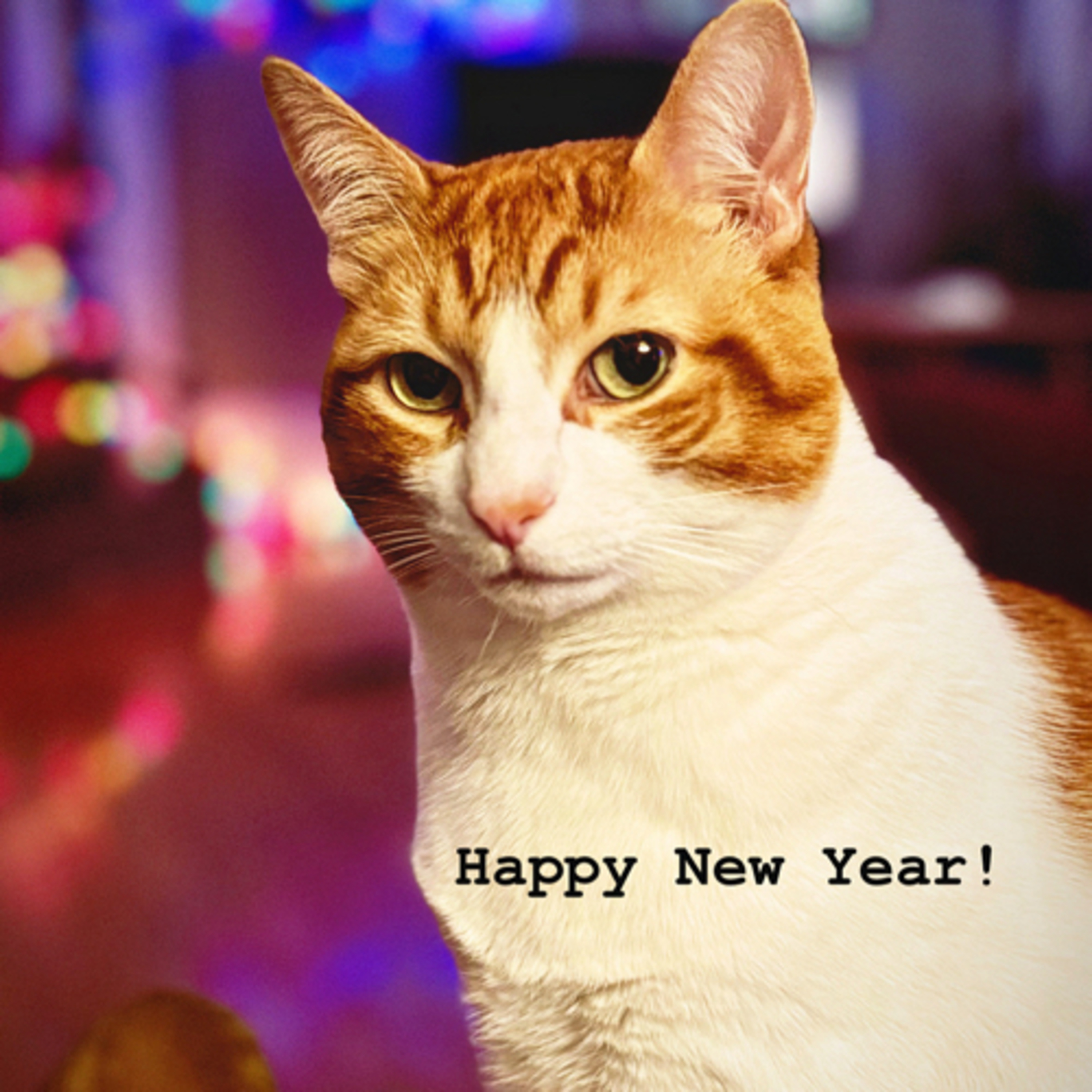 ¡Feliz Año Huevo! episode artwork