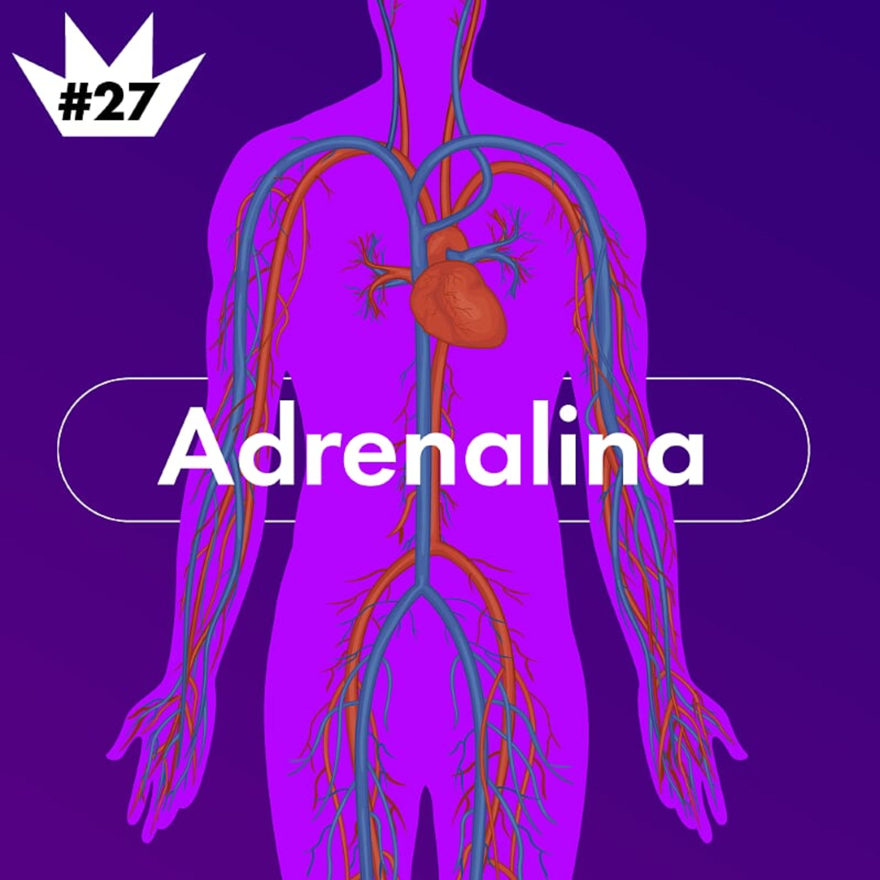 #27 Por que a adrenalina te deixa mais rápido e mais forte?