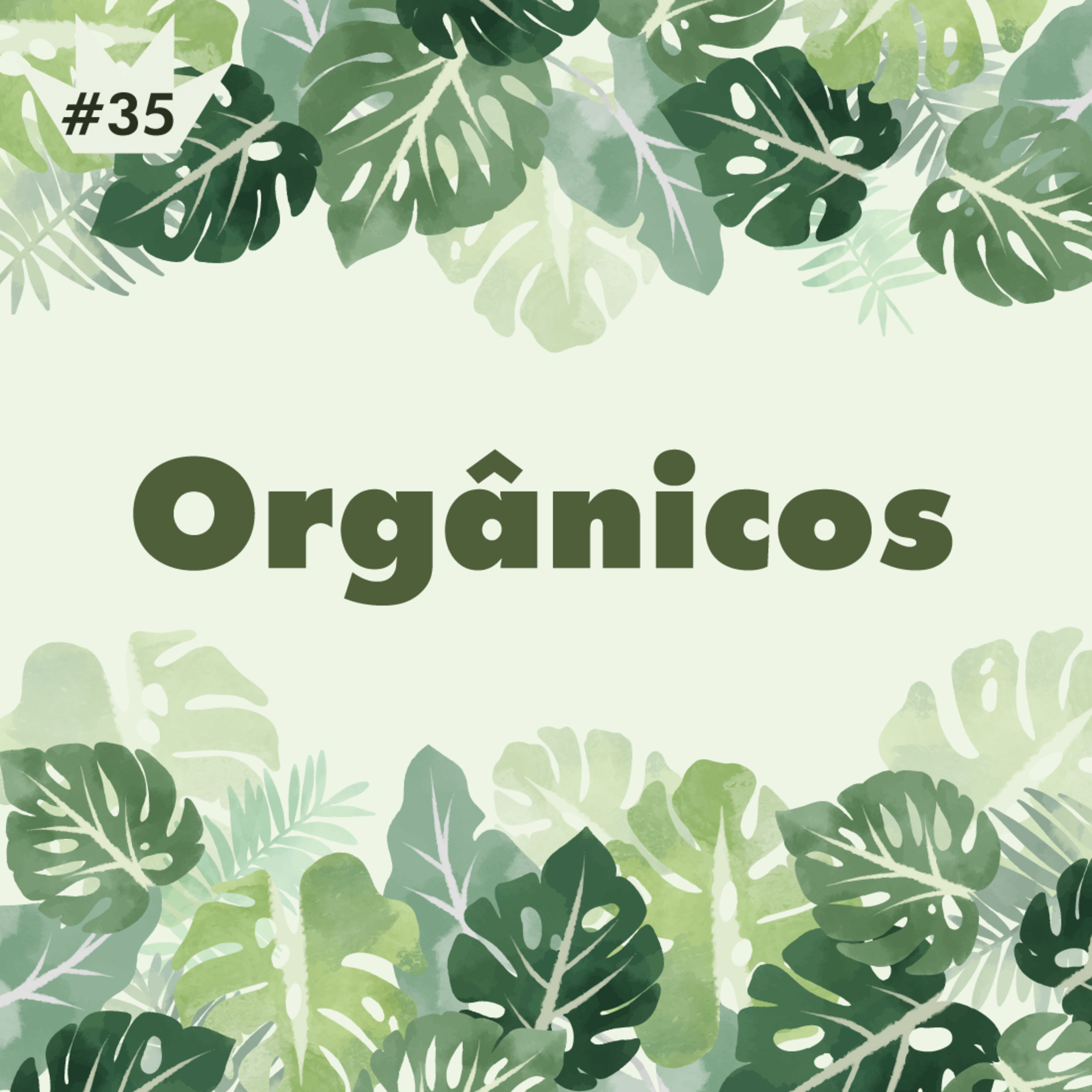 #35 Tudo que você queria saber sobre alimentos orgânicos