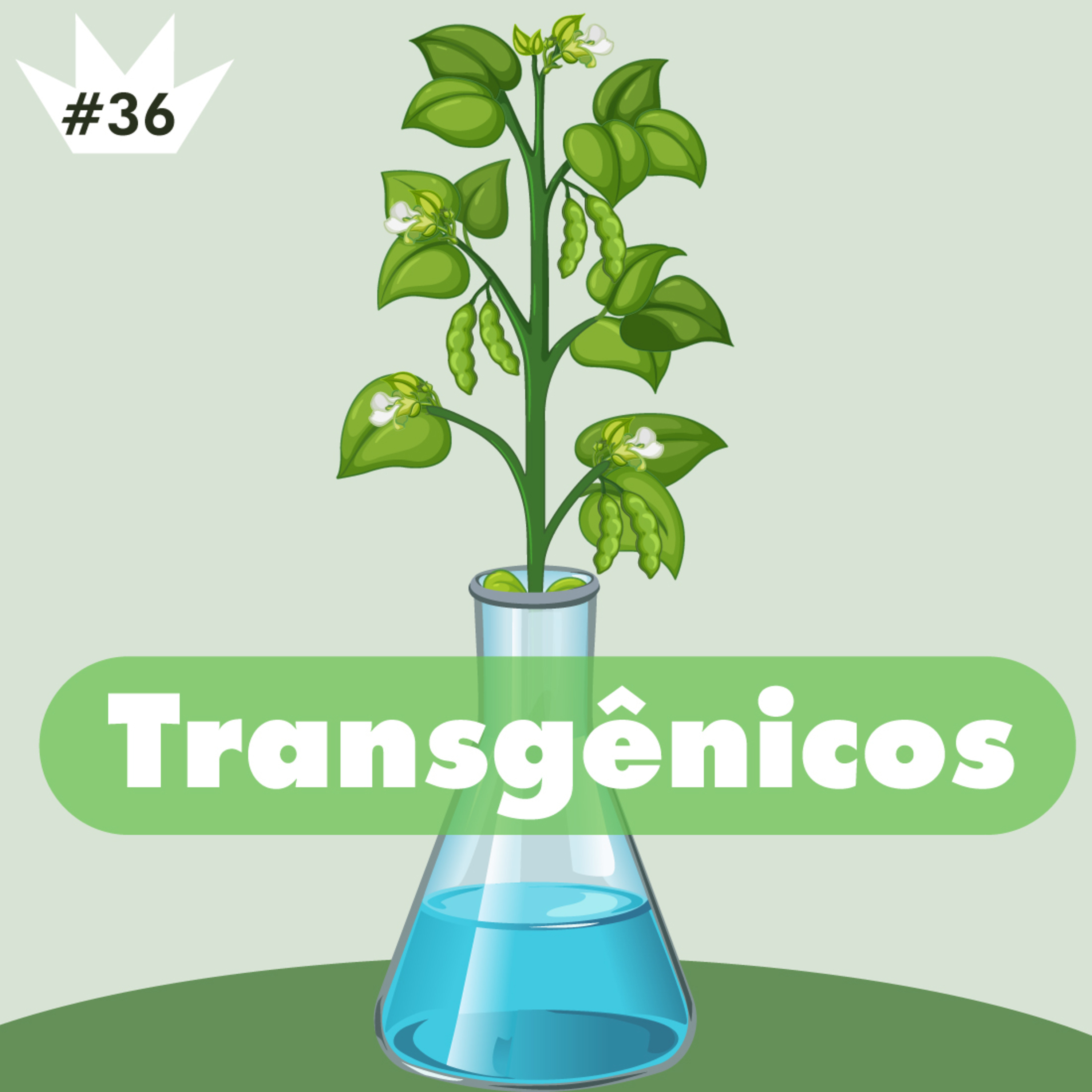 #36 Transgênicos são bons ou ruins?