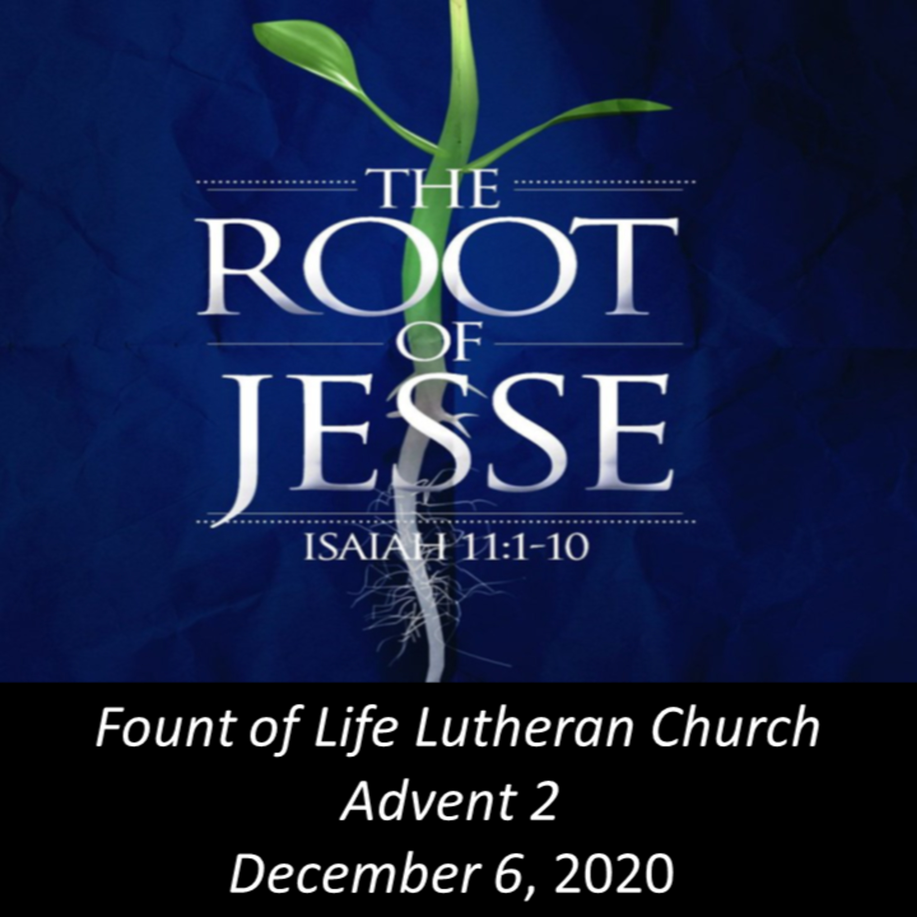 Oh, Come, O Root of Jesse – December 6, 2020 episode artwork