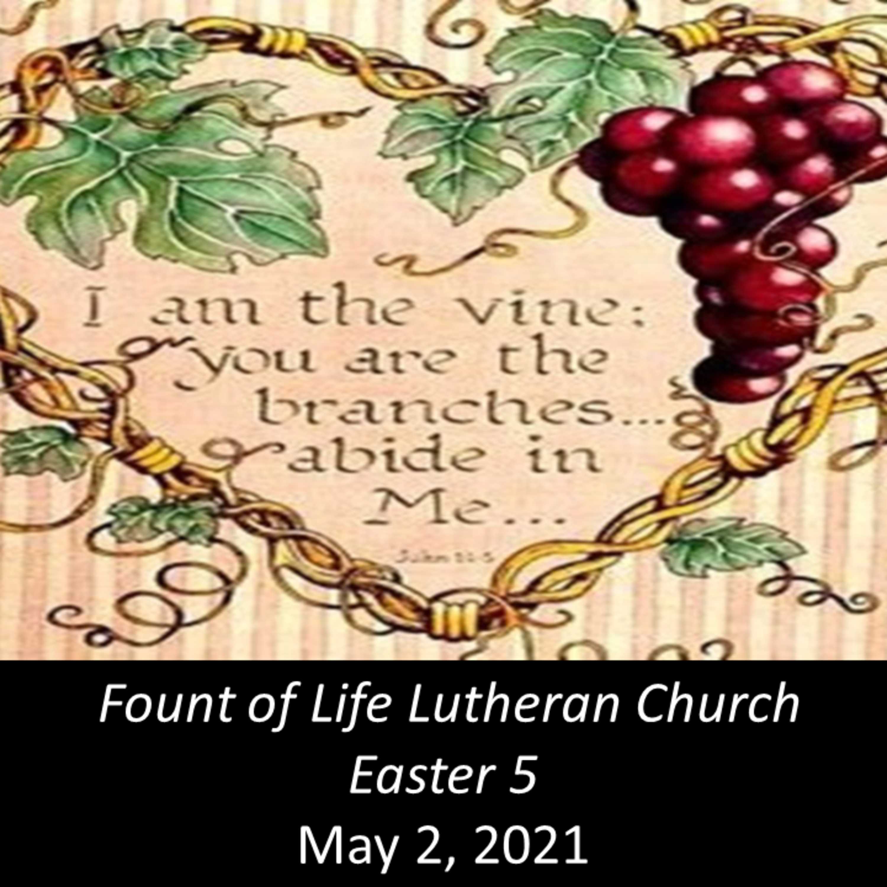 Testifying to the Truth by Serving – May 2, 2021 episode artwork