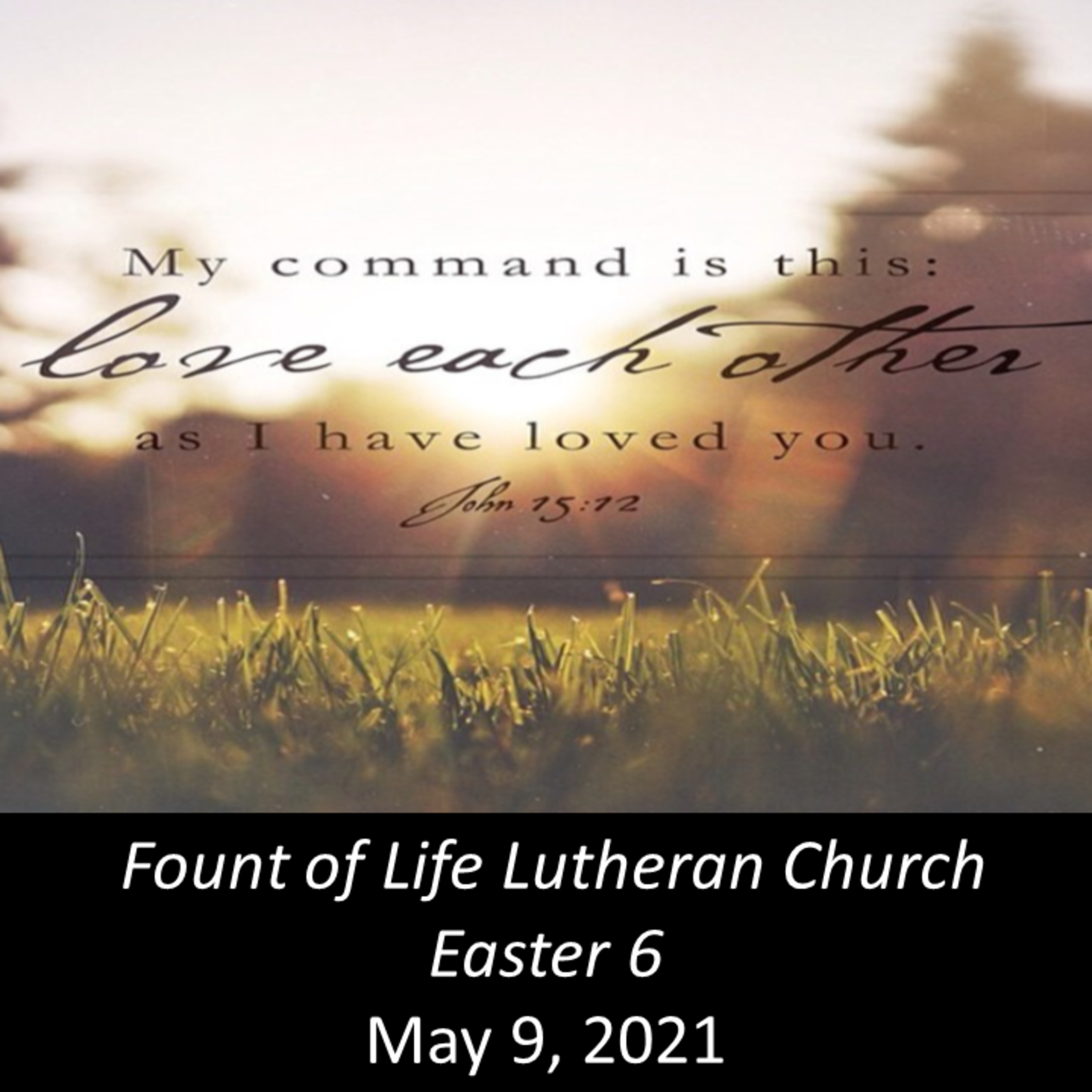 Testifying to the Truth by Loving – May 9, 2021 episode artwork