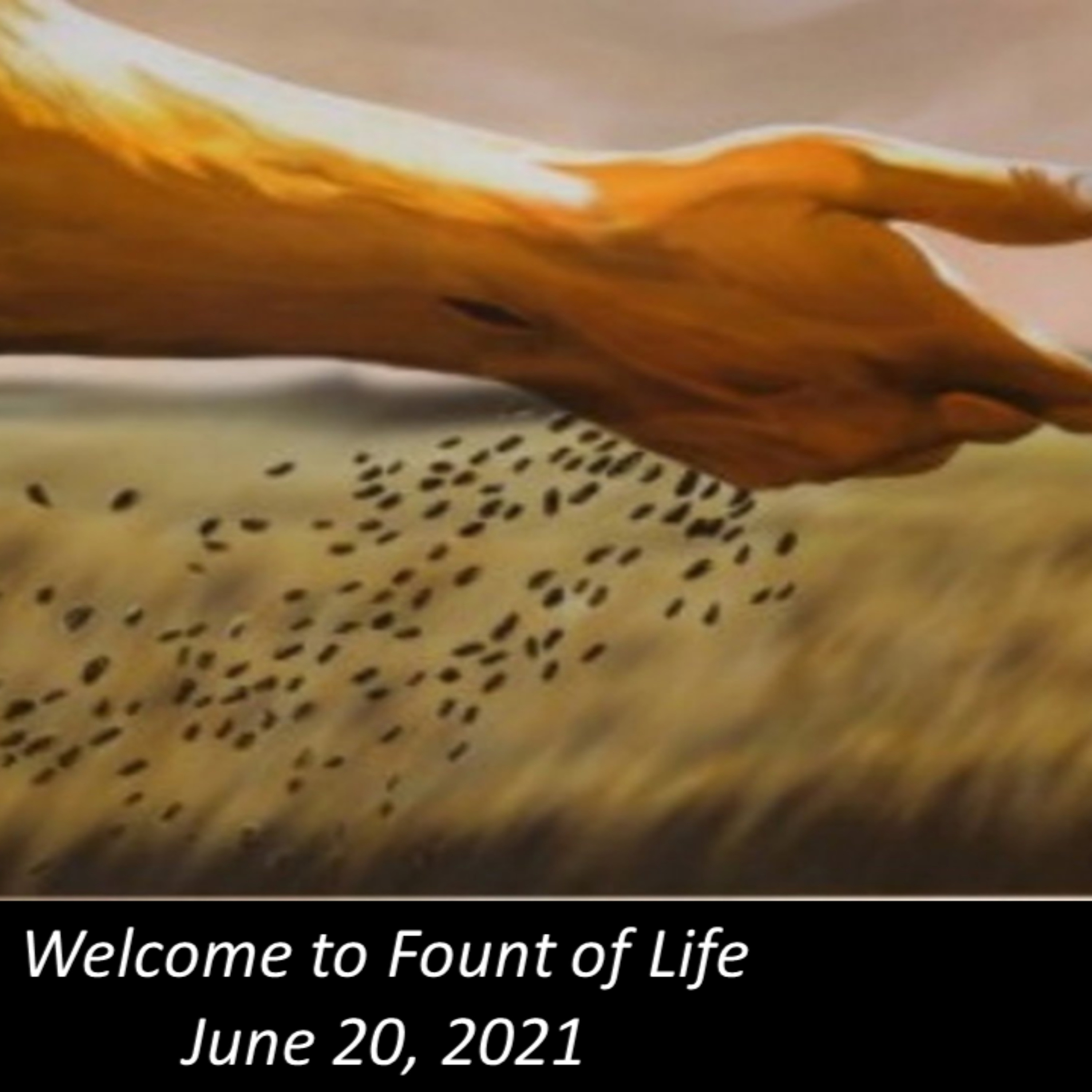 Our Path of Worship: The Sacraments – June 20, 2021 episode artwork