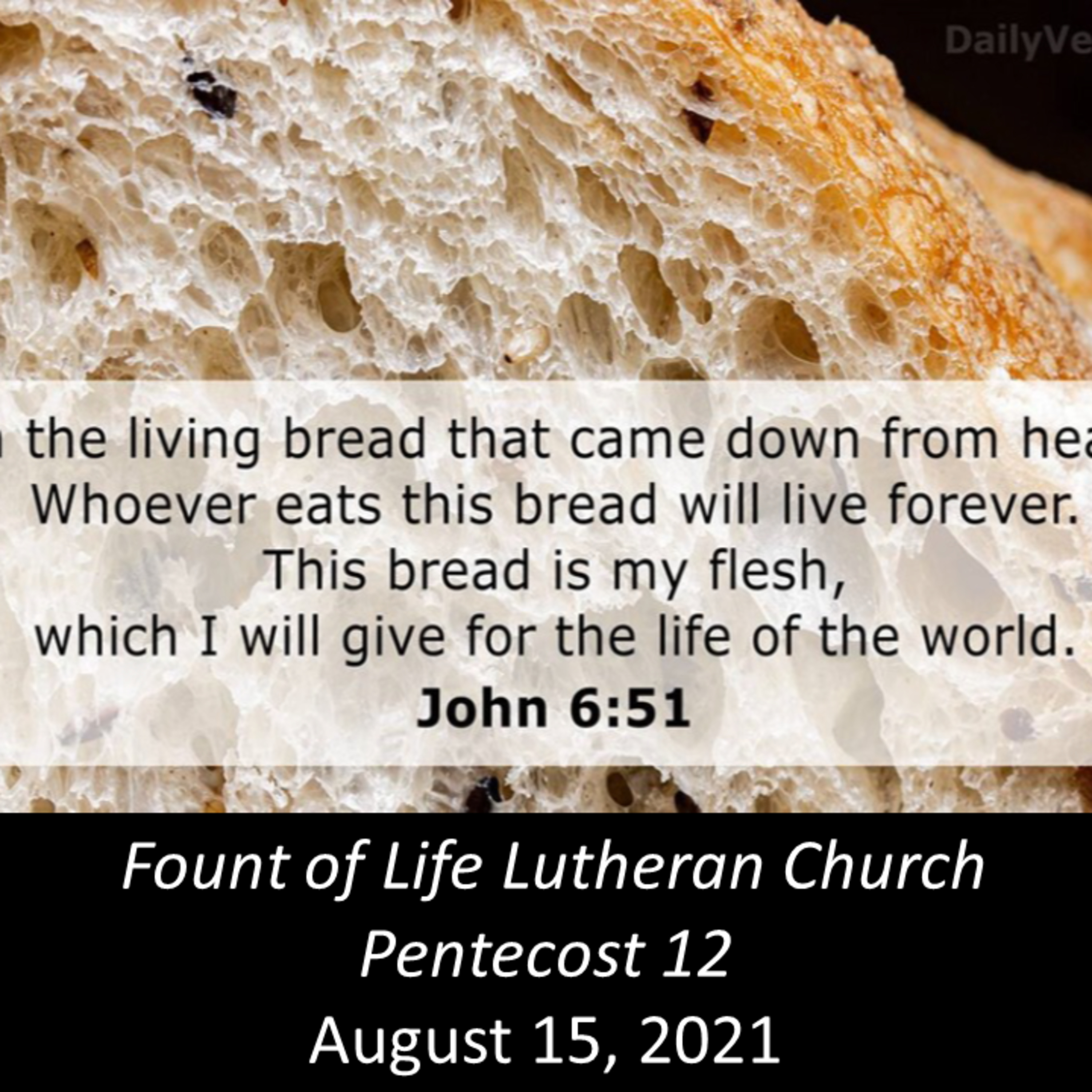 “The Bread of Life’s Waitstaff”– August 15, 2021 episode artwork
