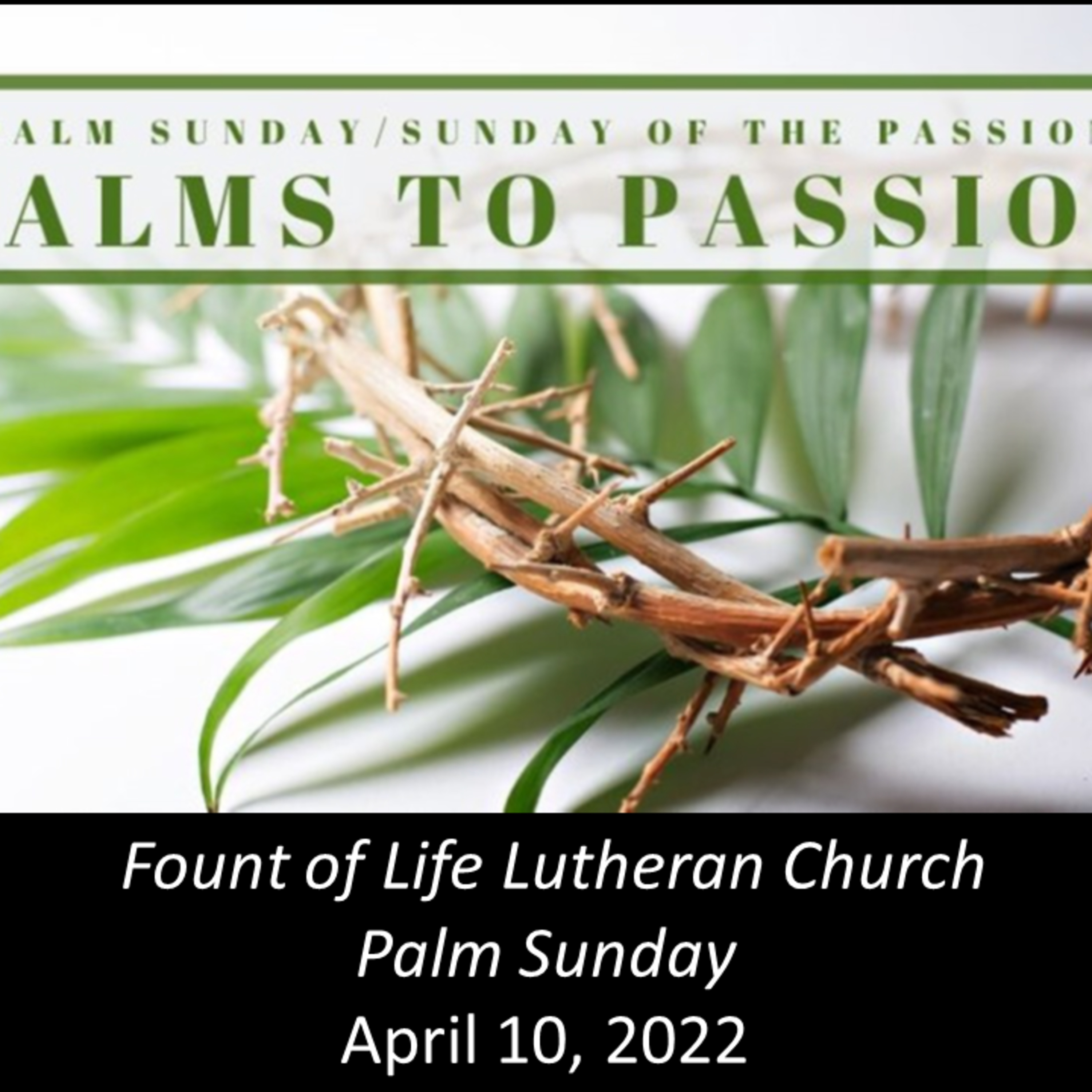 From Palms to Passion – April 10, 2022  episode artwork