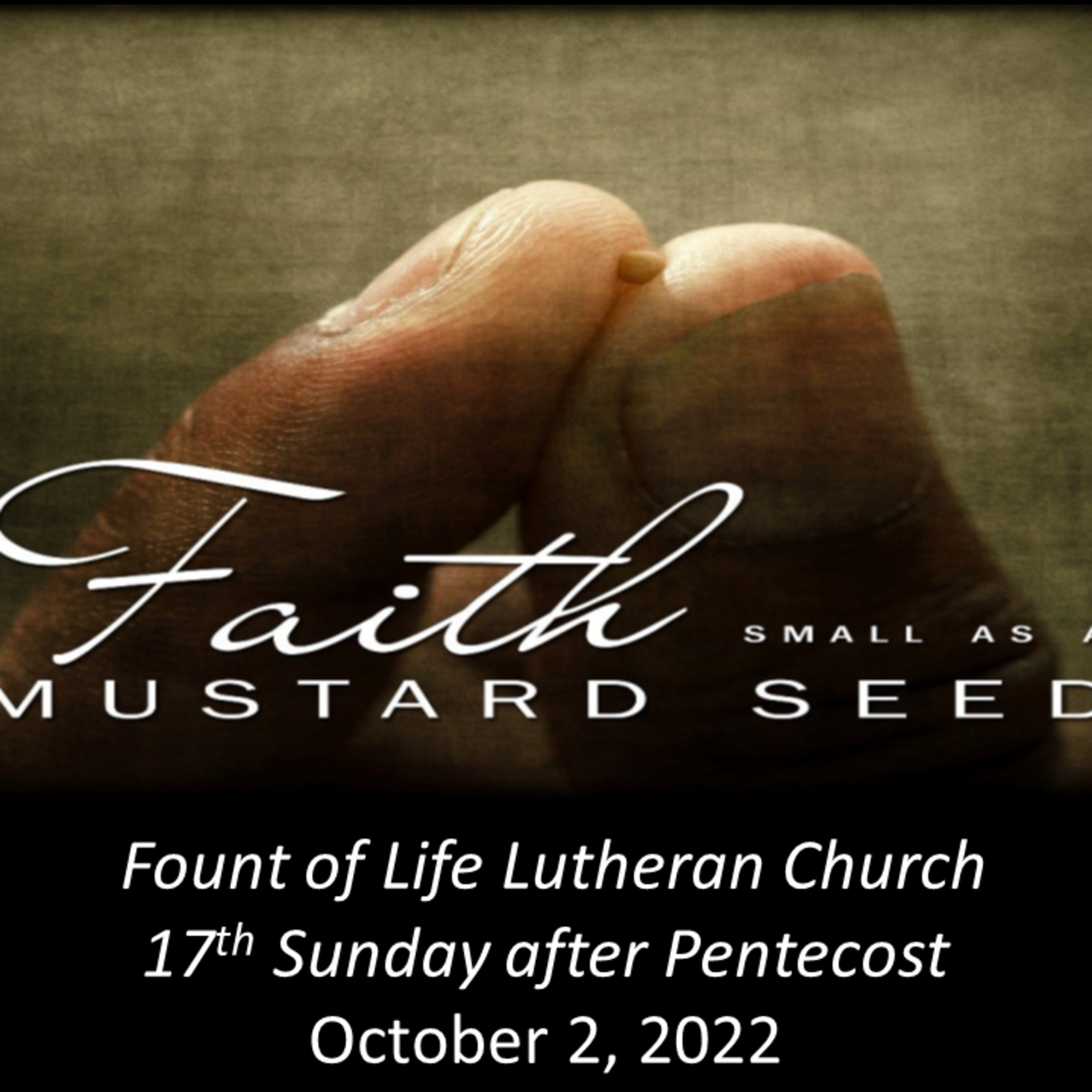 “Faith as Small as a Mustard Seed” – October 2, 2022 episode artwork