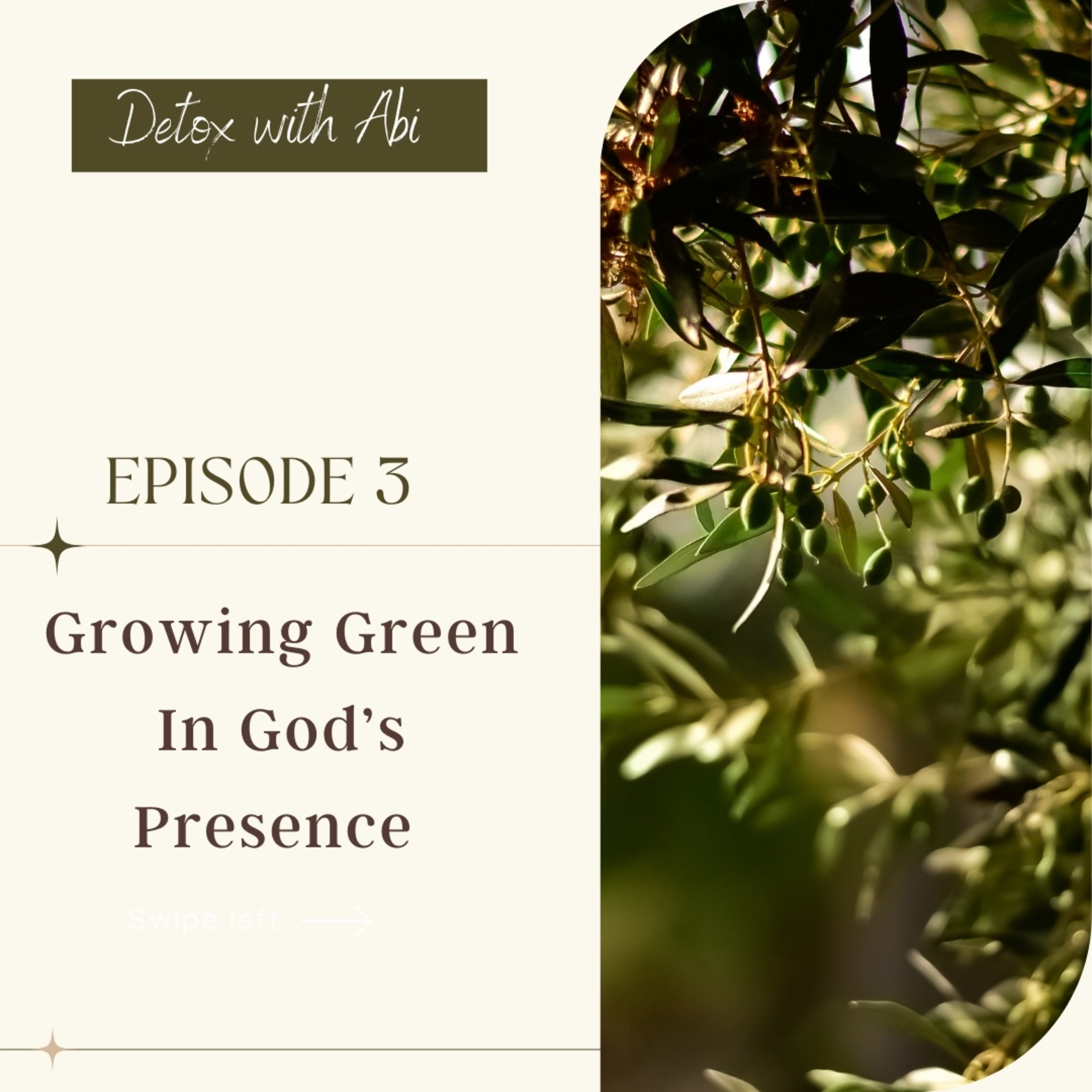 Episode 261: Growing Green in God’s Presence 🌳🫒🕊 episode artwork