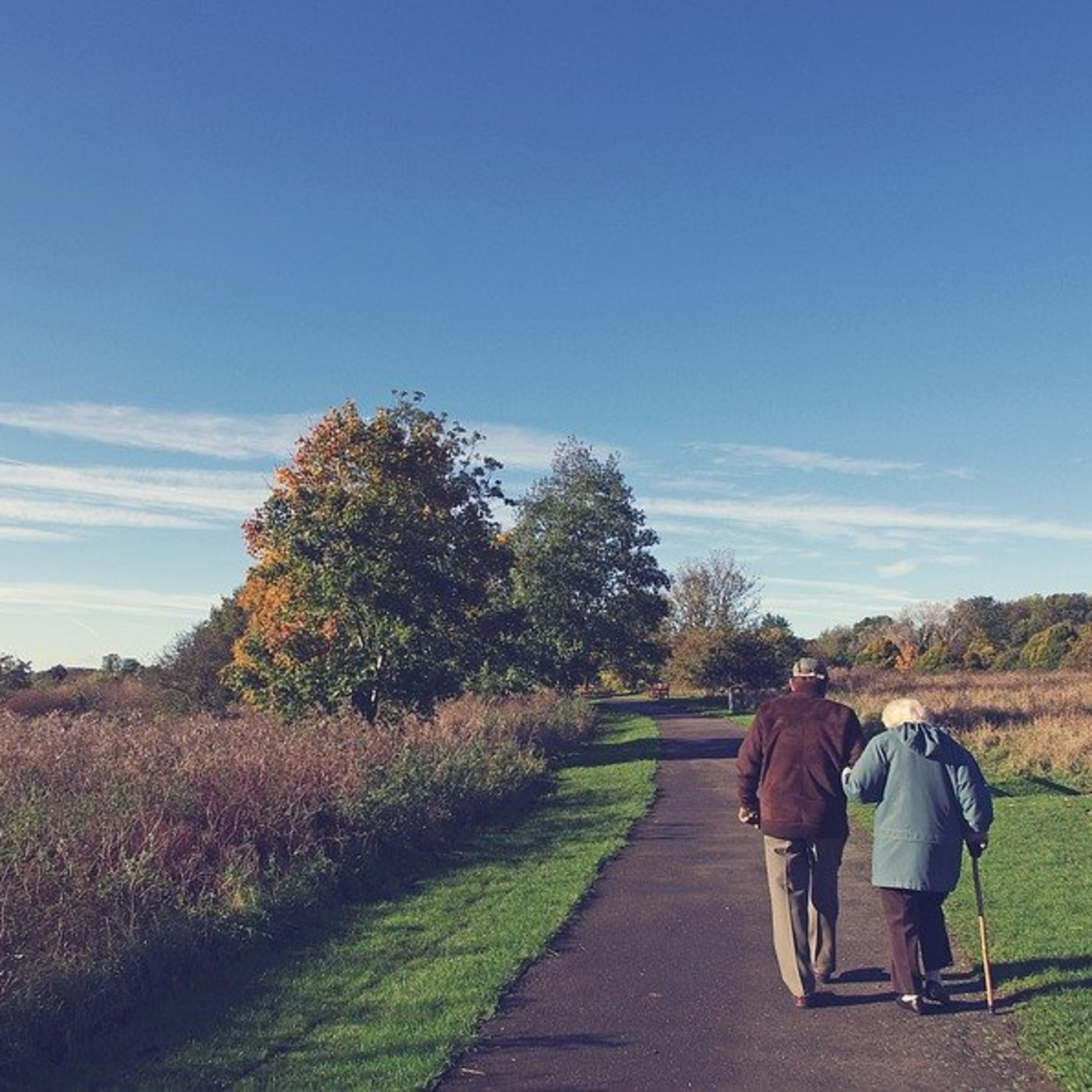 (Don't) Give Me A Break: Osteoporosis and You