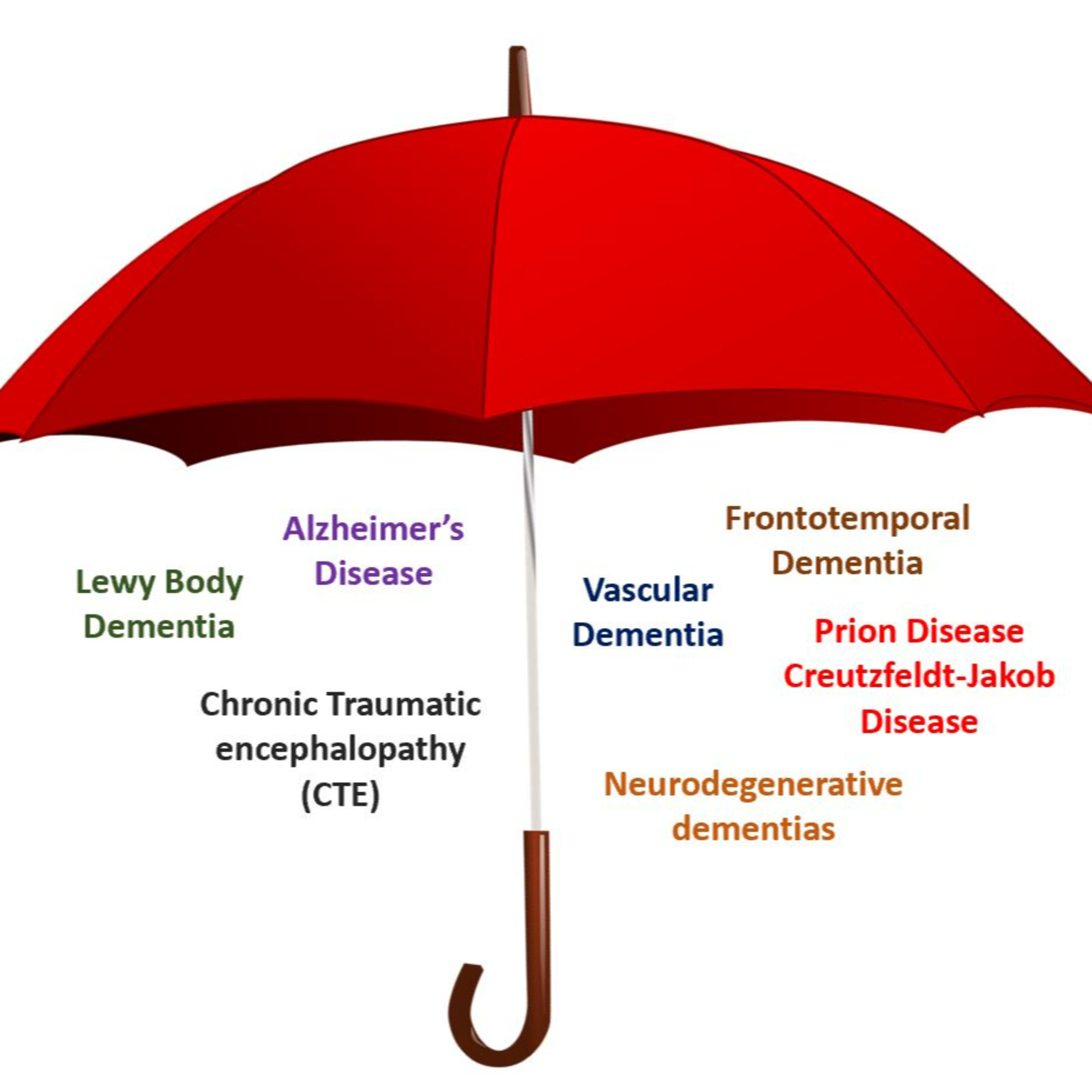 Dementia as an Umbrella Term