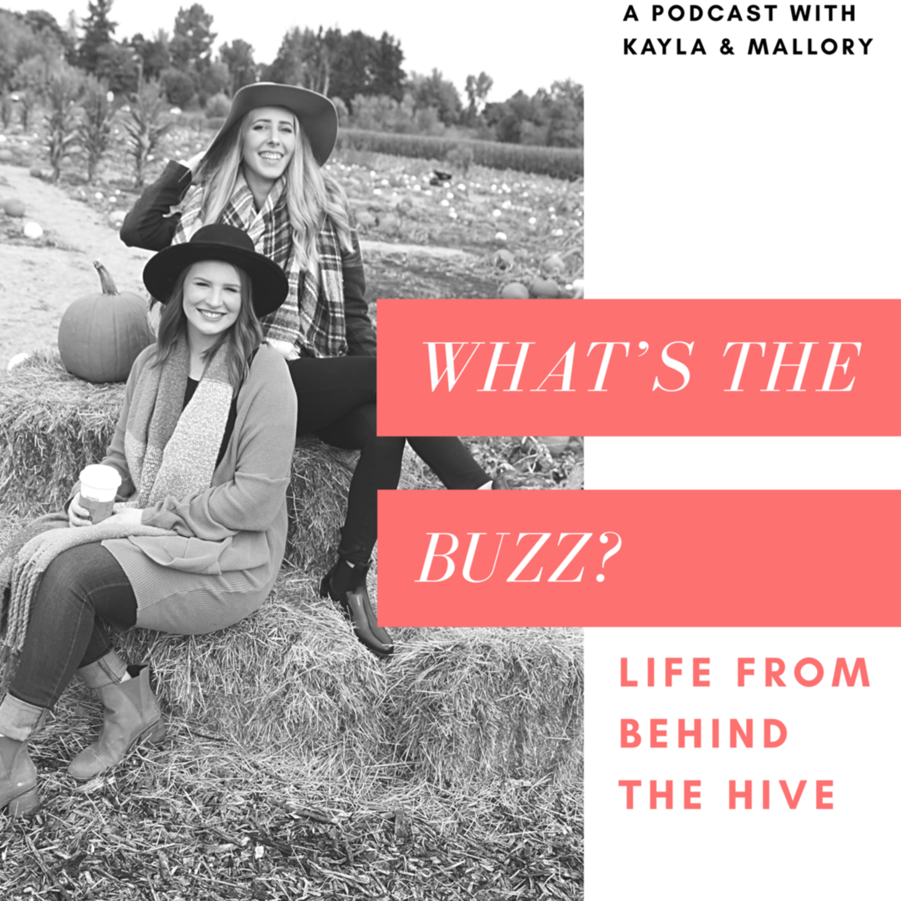 What\'s The Buzz? Life From Behind The Hive